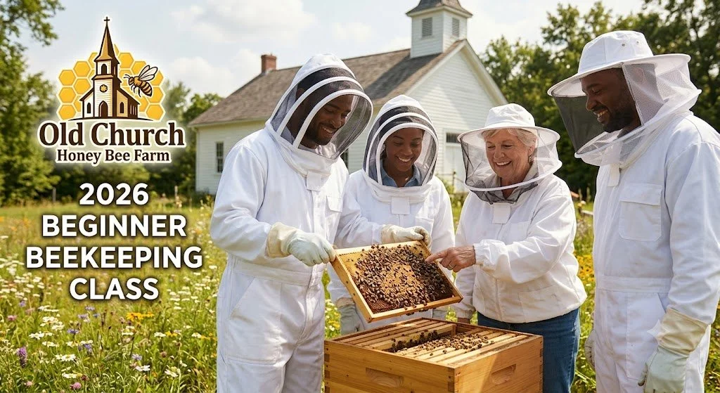 beginner beekeeping.jfif