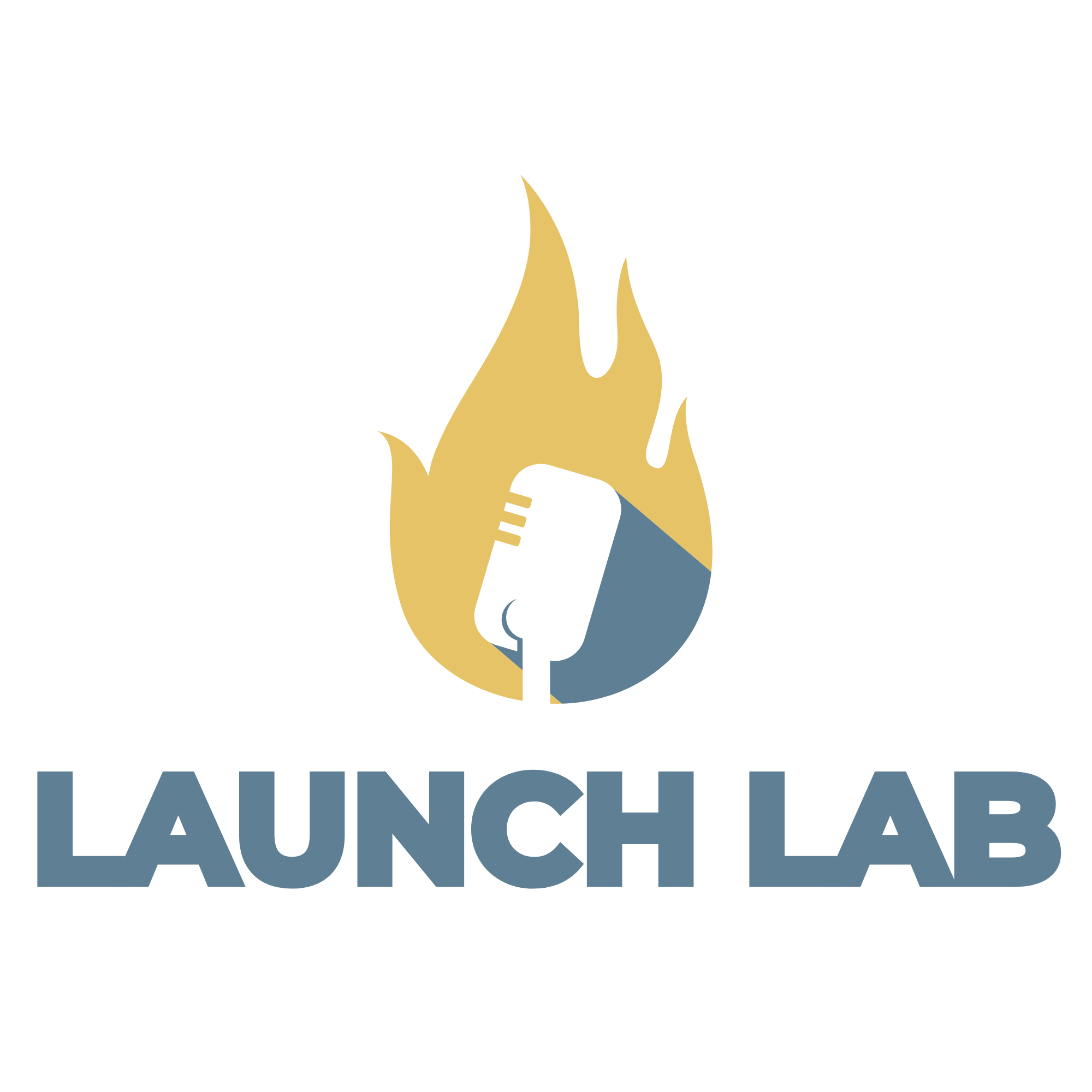 Launch Lab | 6-Week Live Beta Group Coaching