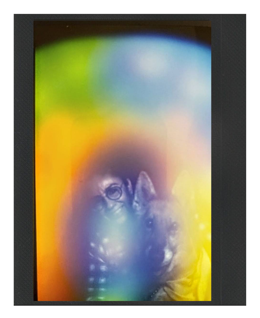 A person visible in a reflective, colorful light display with rainbow hues, with glasses and curly hair.