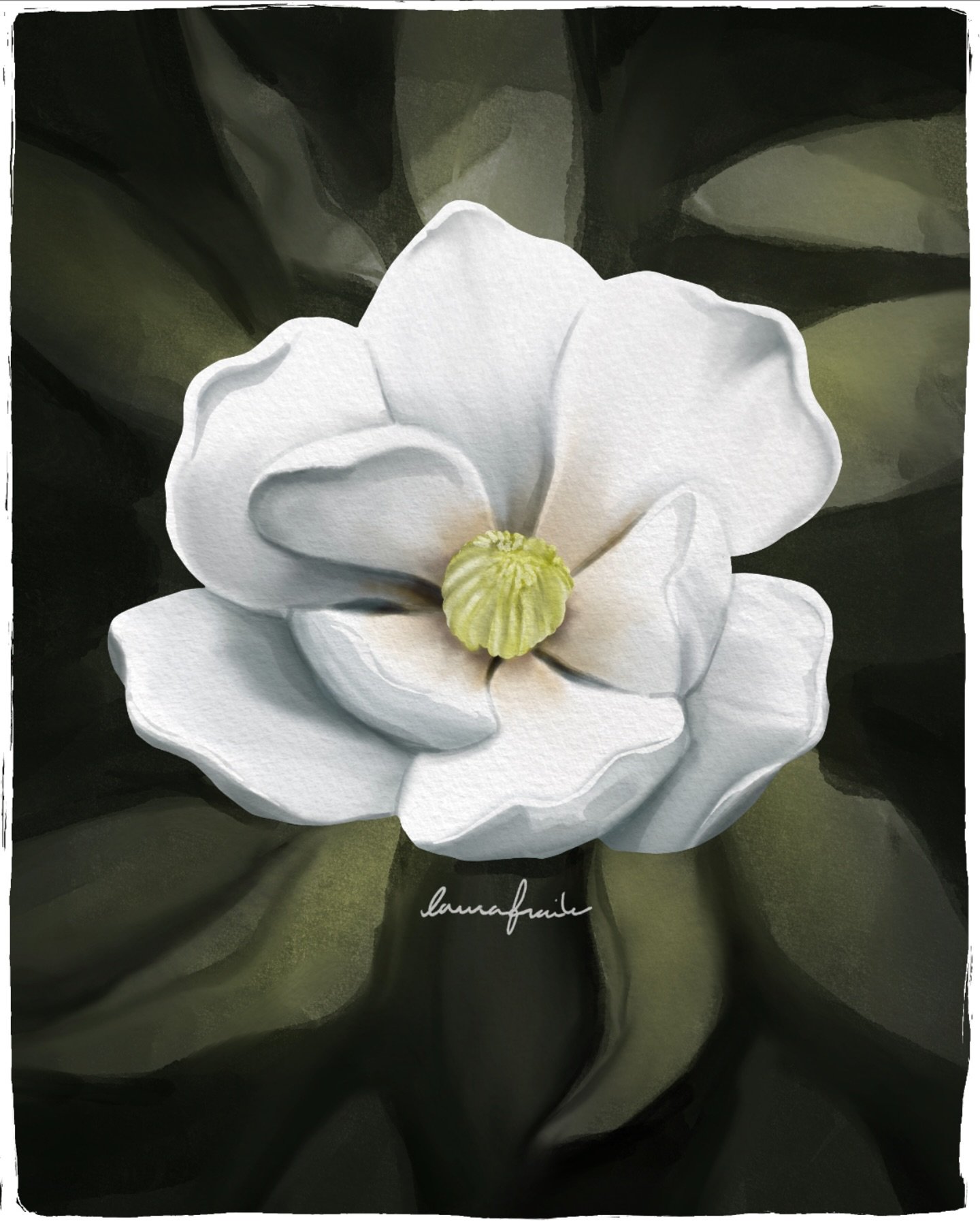 🪷Durante la carrera tuvimos un profesor de bot&aacute;nica que era s&uacute;per pesado con las magnolias. Nos hac&iacute;a mucha gracia lo mucho que nos insist&iacute;a con ellas y con que fu&eacute;semos a ver florecer las que hab&iacute;a en el ca