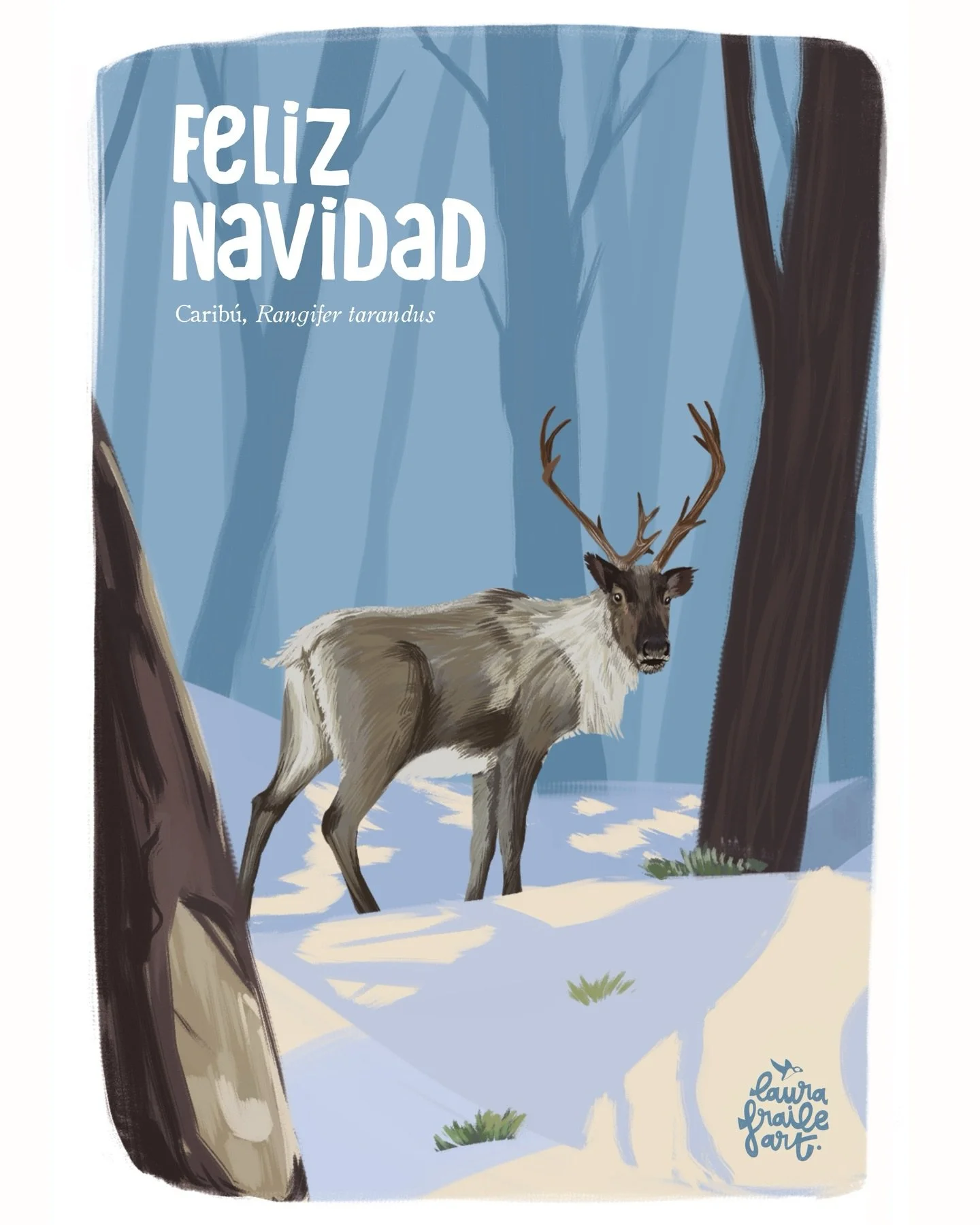 &iexcl;Que pas&eacute;is unas felices fiestas! 🩵
Petons de ren,
Laura 

#feliznavidad🎄❤️ #rangifertarandus #caribu #ilustraci&oacute;n #reno