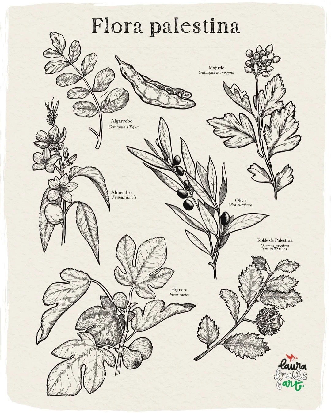 Hace ya casi 2 a&ntilde;os hice una ilustraci&oacute;n parecida a esta para hablar del genocidio que est&aacute; cometiendo Israel contra el pueblo Palestino y la destrucci&oacute;n de su tierra. Ya sab&iacute;a entonces que no se avecinaba nada buen