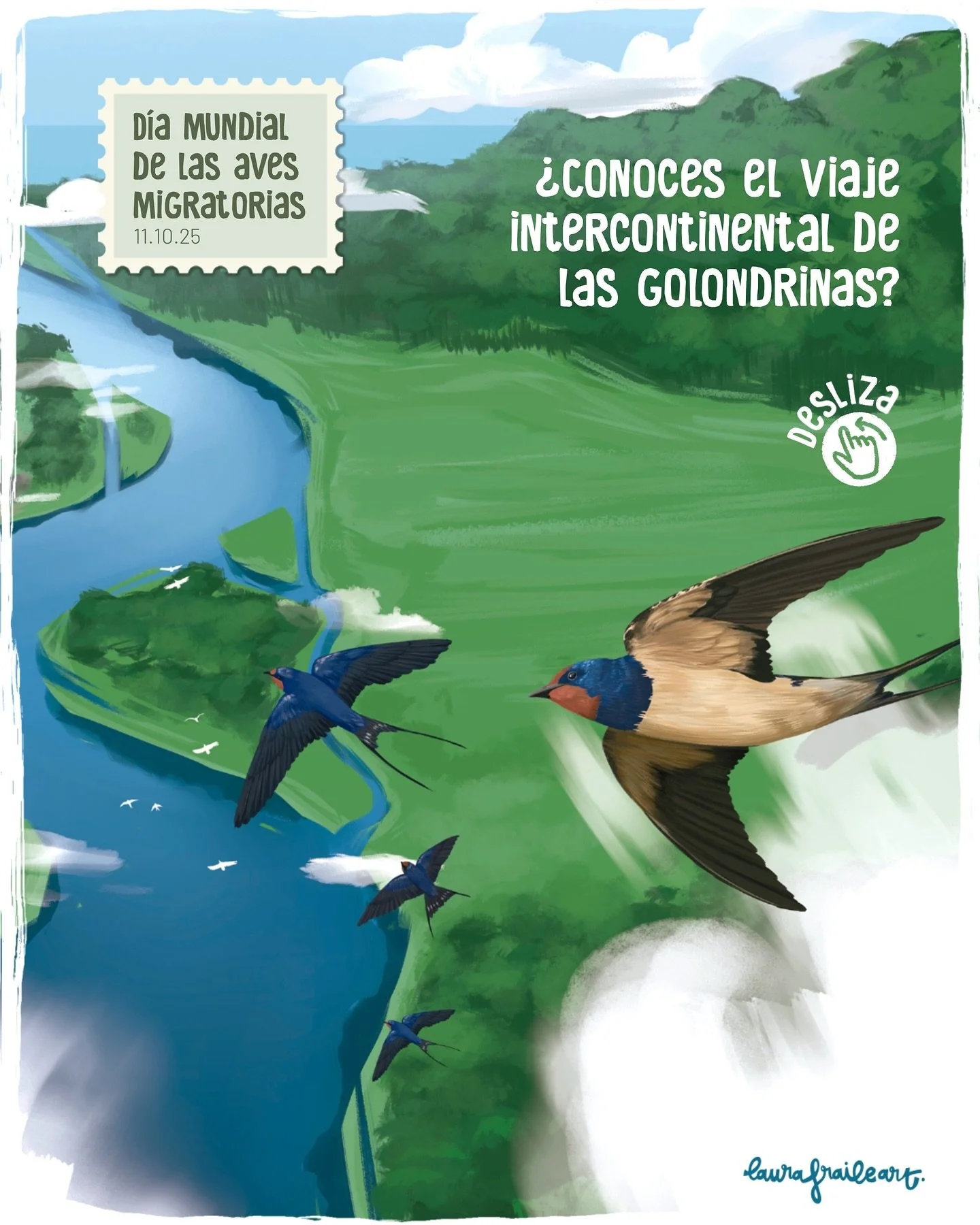 🌍 Ma&ntilde;ana es el d&iacute;a mundial de las aves migratorias, y qu&eacute; mejor d&iacute;a que este para hablar de las golondrinas, las m&aacute;s ic&oacute;nicas viajeras de todo el reino animal 🪶 &iquest;Conoc&iacute;as estos datos de las go