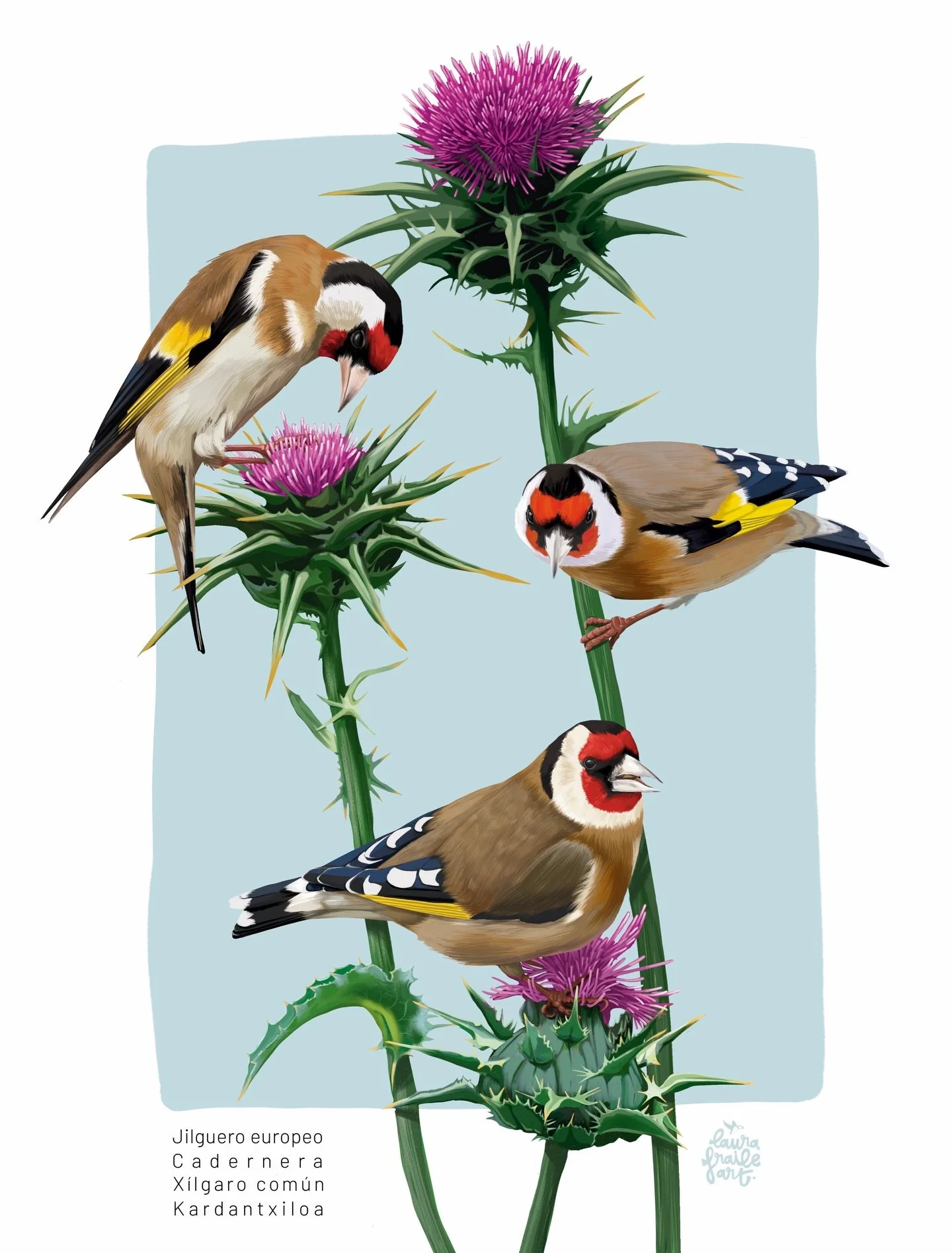 &iexcl;He quedado finalista! ☺️❤️ Llego s&uacute;per tarde pero os ten&iacute;a que ense&ntilde;ar la ilustraci&oacute;n que hice para la camiseta del ave de este a&ntilde;o de la @seo_birdlife 🥰 &iexcl;&iexcl;&iexcl;&iexcl;estoy muy muy contenta de