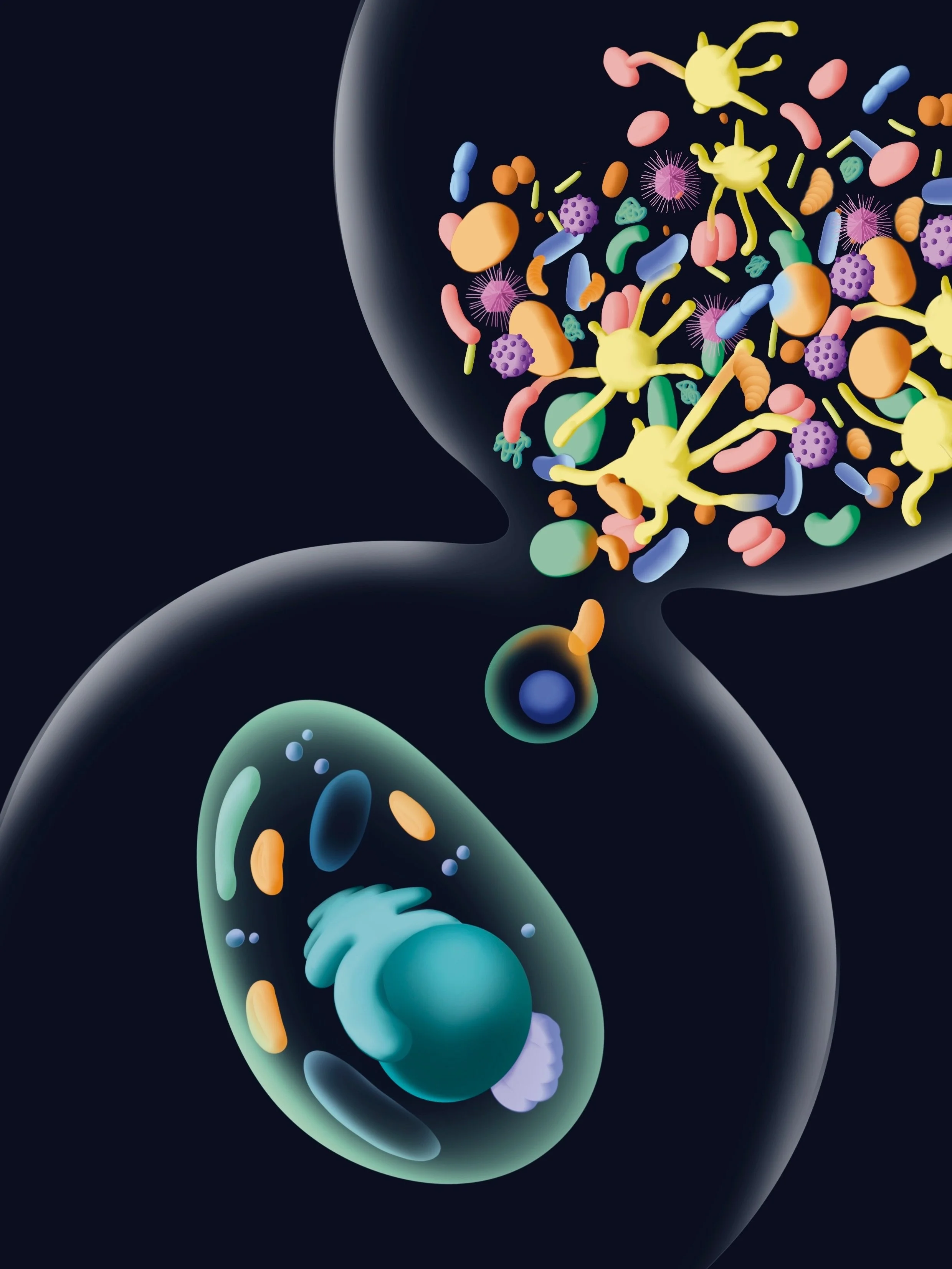 &iquest;C&oacute;mo ilustrar&iacute;ais en una sola imagen un proceso evolutivo que se desarrolla a lo largo de millones de a&ntilde;os, gracias a la interacci&oacute;n de numerosas bacterias y virus en diferentes momentos clave, reunidas en un biofi