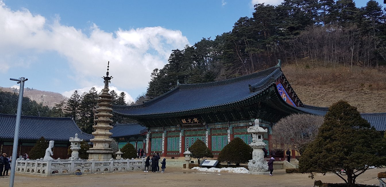 5 Reasons to Join the Annual Truth Day International Conference and Korea Tour