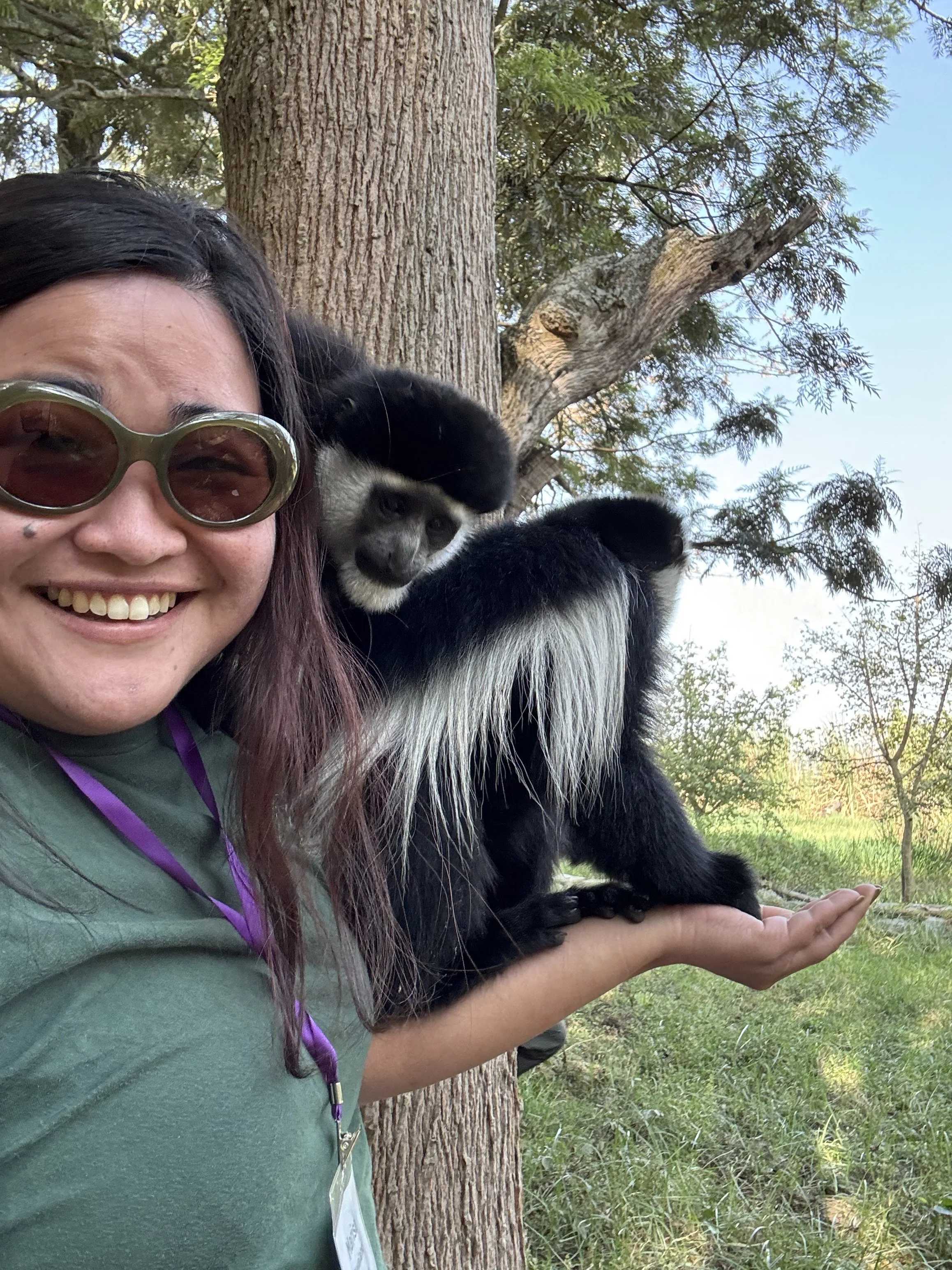 A woman and a mantled guereza pose for a selfie. The mantled guereza is on a tree.