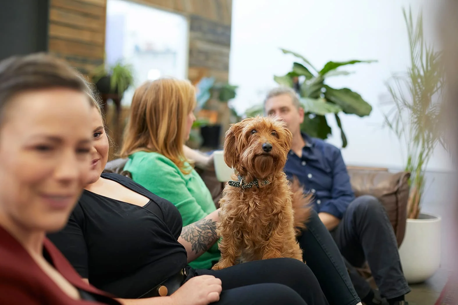 Group of four people sitting on a couch with a small brown dog between them in a cozy room with plants and large windows.