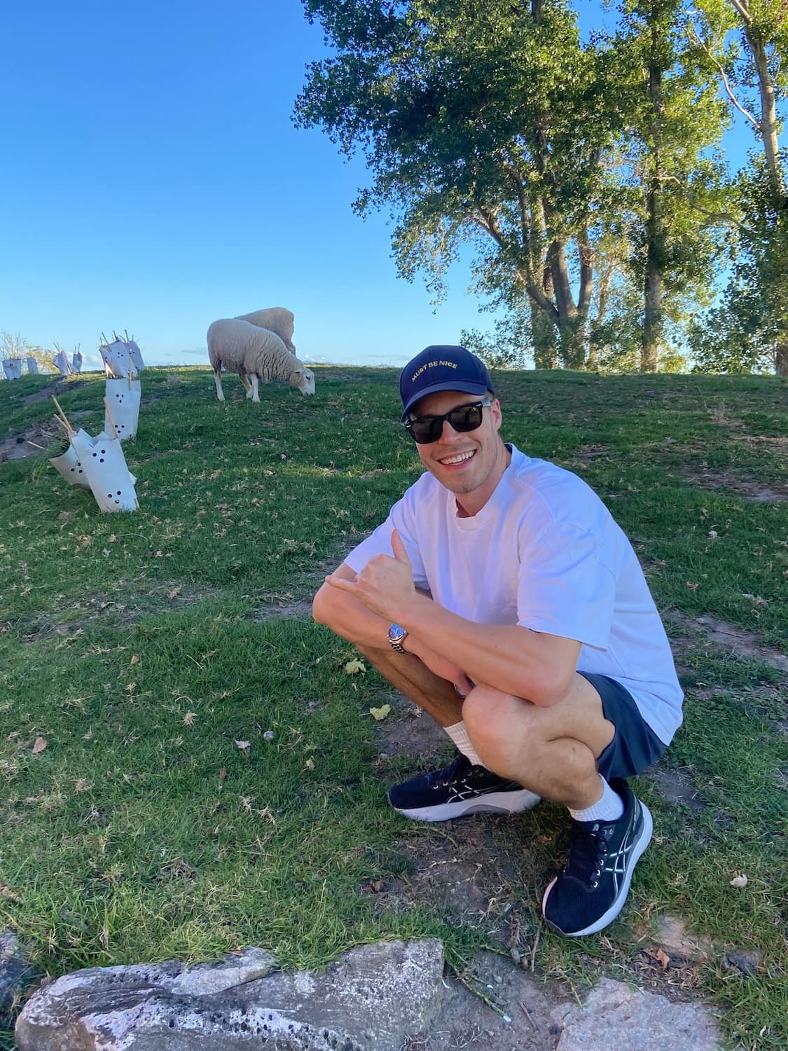 A smiling man crouching on the grass, wearing sunglasses, a white t-shirt, navy shorts, and black sneakers, with sheep grazing on a hill and sheep-shaped paper lanterns in the background under a large tree and blue sky.
