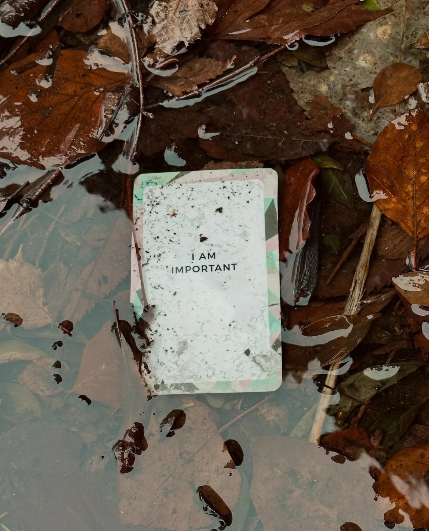 If you&rsquo;re open to them, there will be signs.

Whilst out on a morning walk, thinking about life, the next steps, the things to build, work on, designing how I choose to flow through life and the importance of how I react to it. 

Just on the co