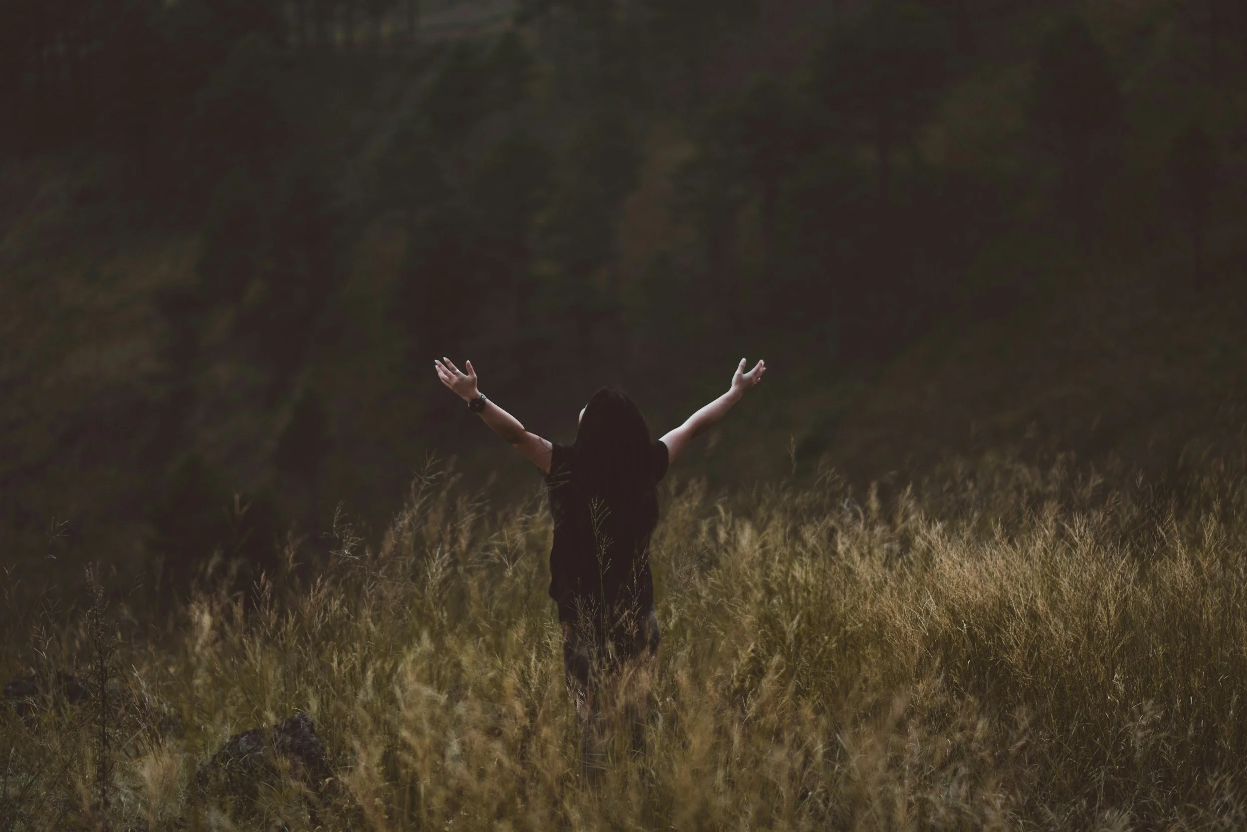 a person standing in tall grass with their arms uplifted toward the sky