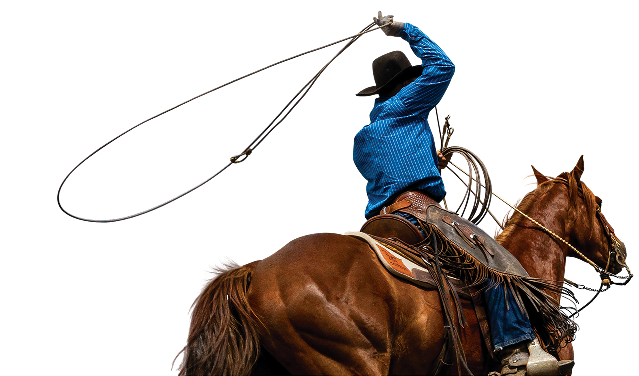 cowboy.png