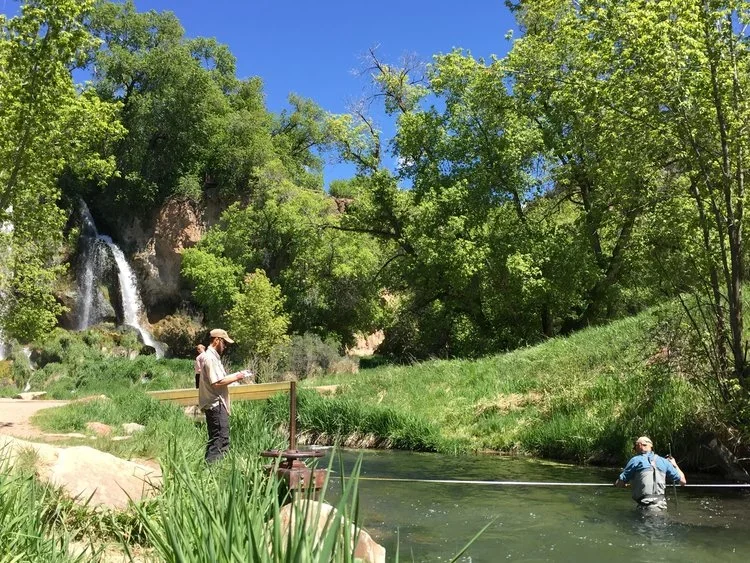 Roan Creek Fish Barrier &amp; Diversion Infrastructure Project