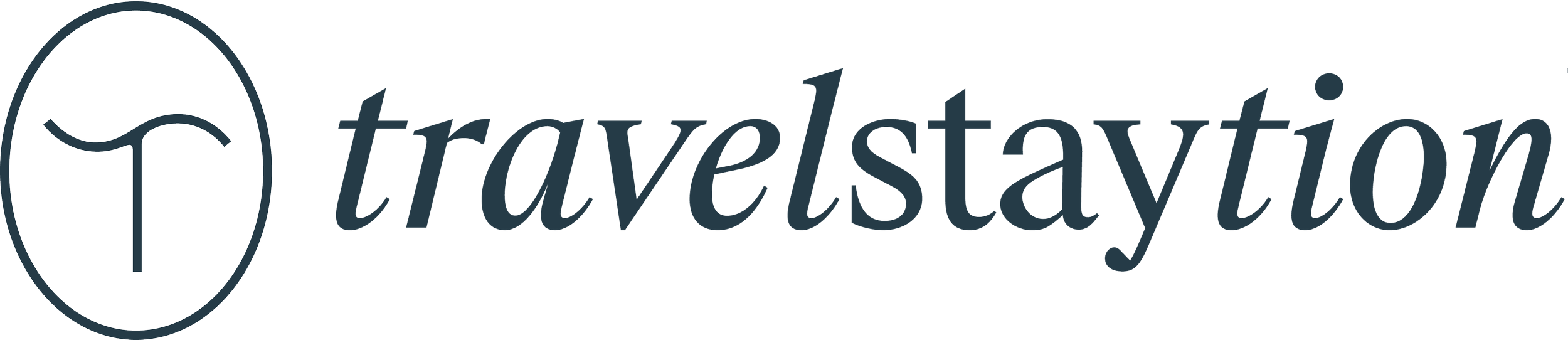 TravelStayation logo