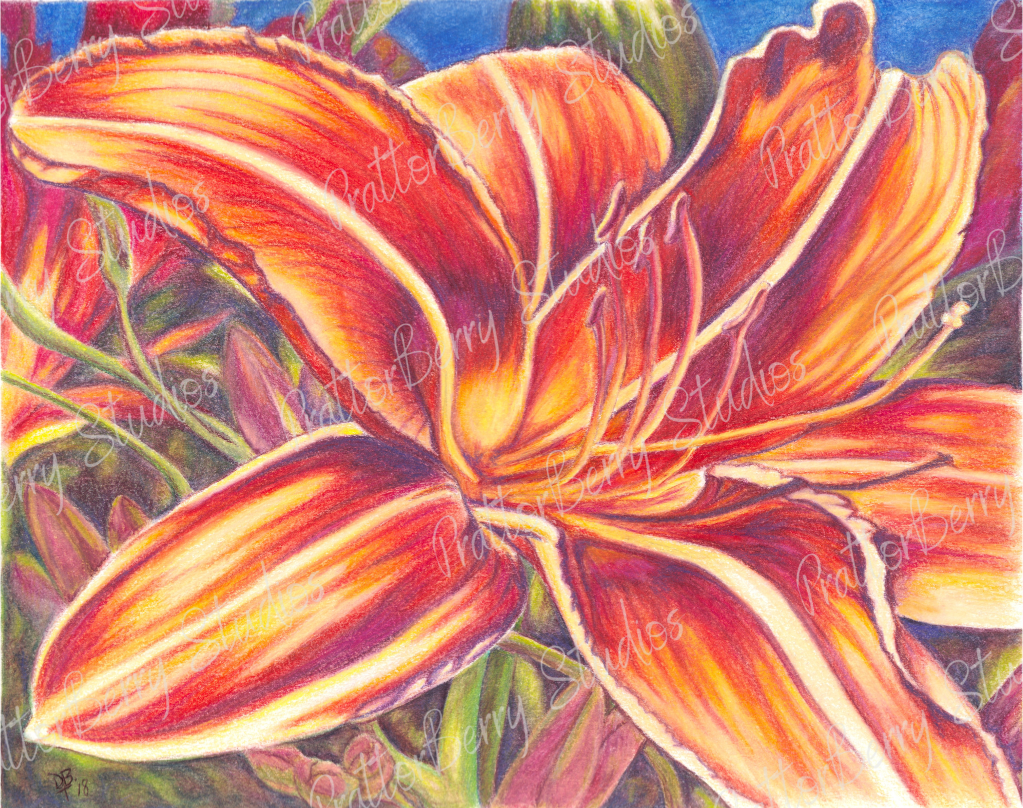 Tiger Lily WM.png