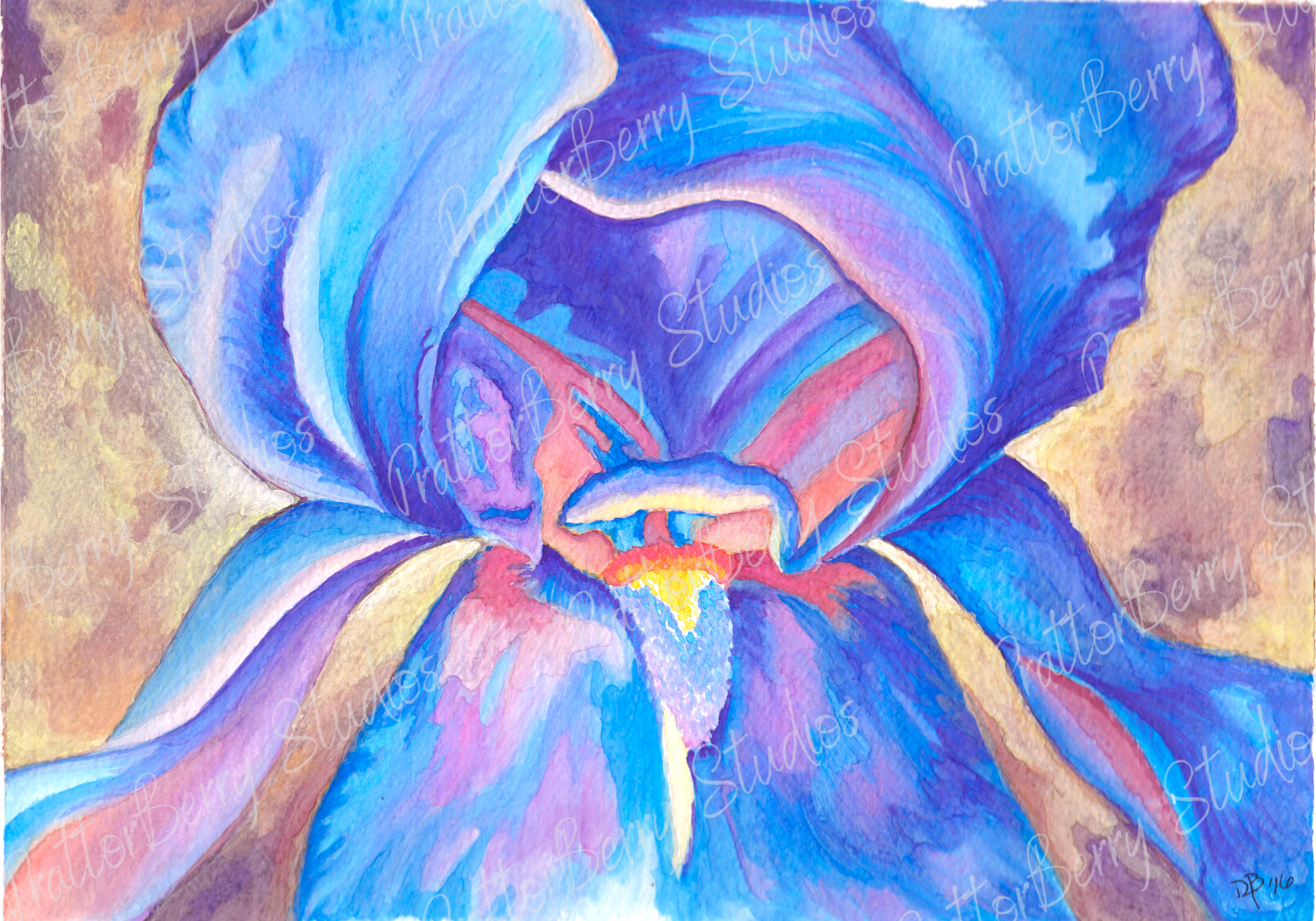 Blue Iris wm.png
