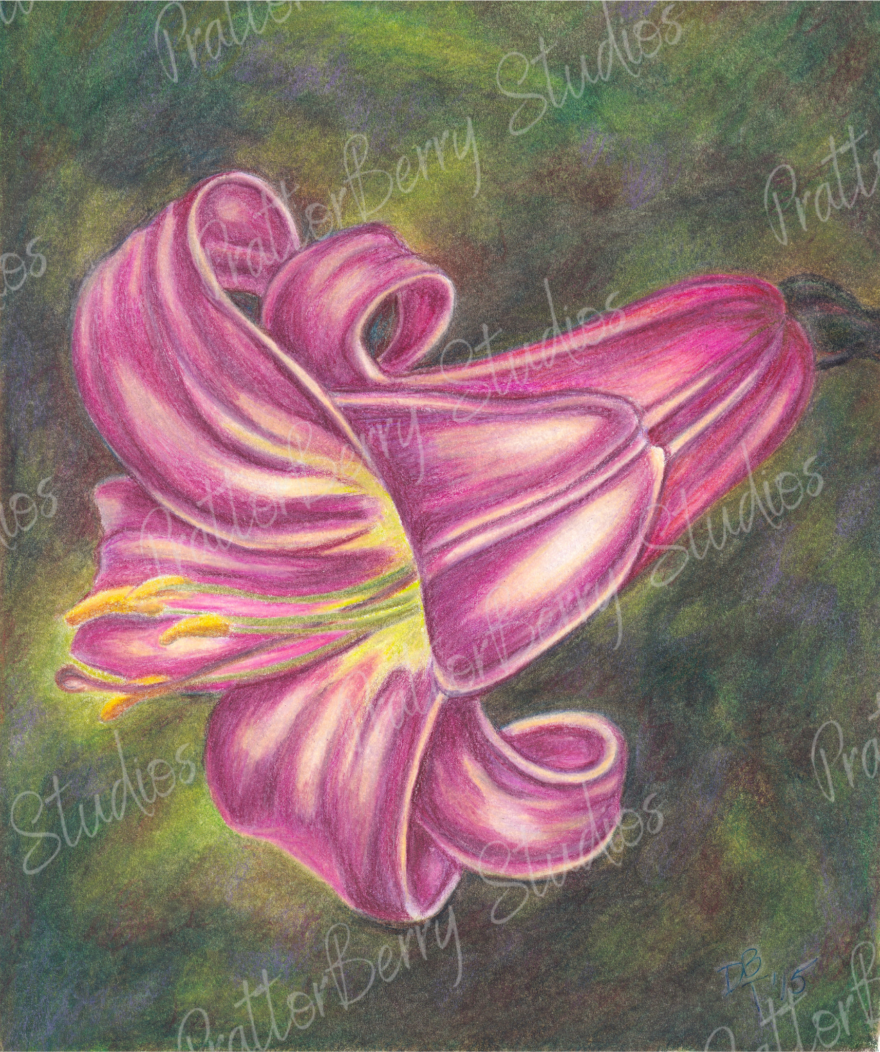 Pink Lily WM.png