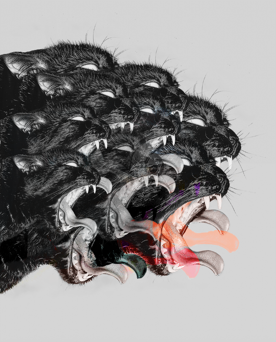 Rainbowcat by Bruno Lattes