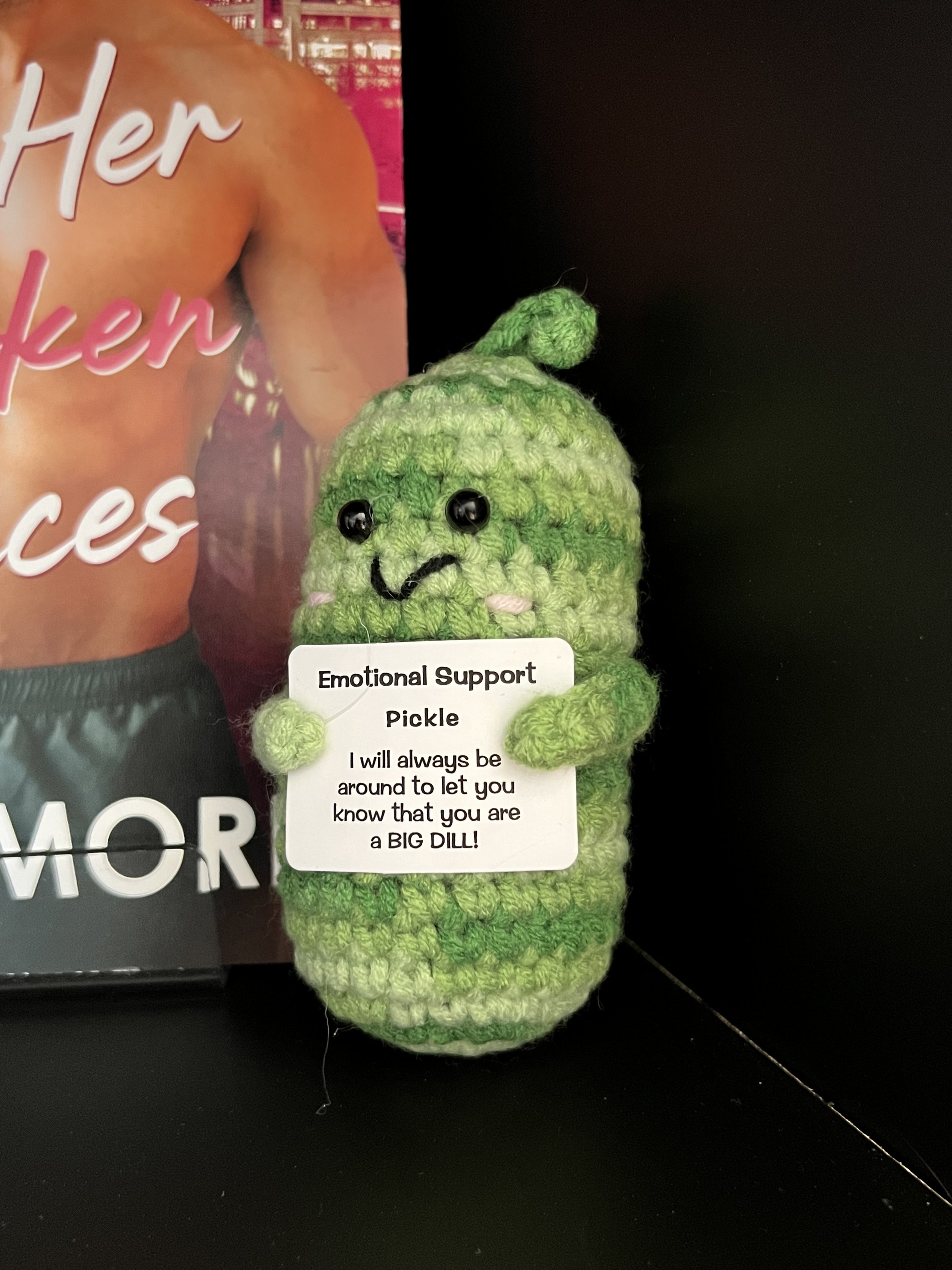 Emotional Support Chef Pickle