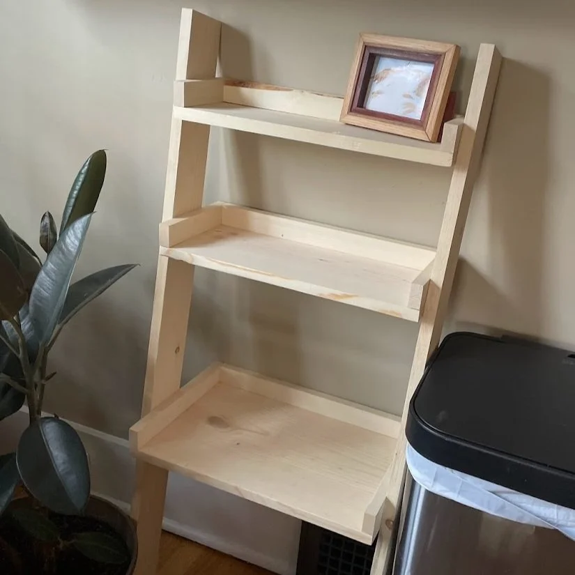 Tiered Ladder Shelf