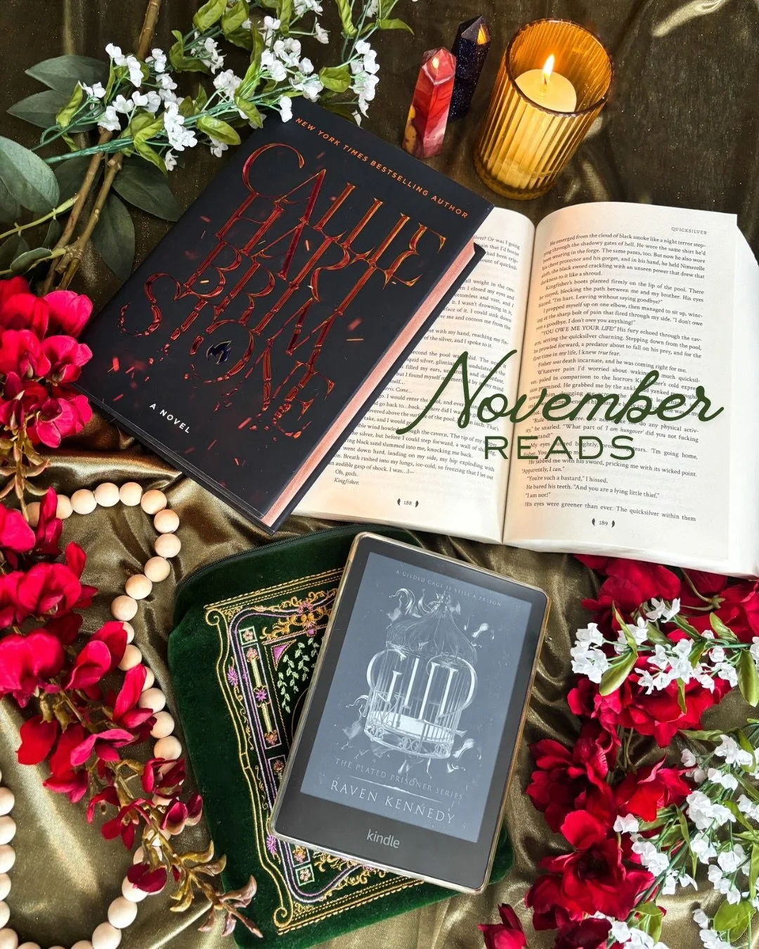 𝓝𝓸𝓿𝓮𝓶𝓫𝓮𝓻 𝓡𝓮𝓪𝓭𝓼
I&rsquo;ve passed my yearly reading goal this month! 🎉33/30 books read

The Plated Prisioner Series by: Raven Kennedy 
I am constantly going back and forth if I want to keep reading this one. Don&rsquo;t get me wrong it&r