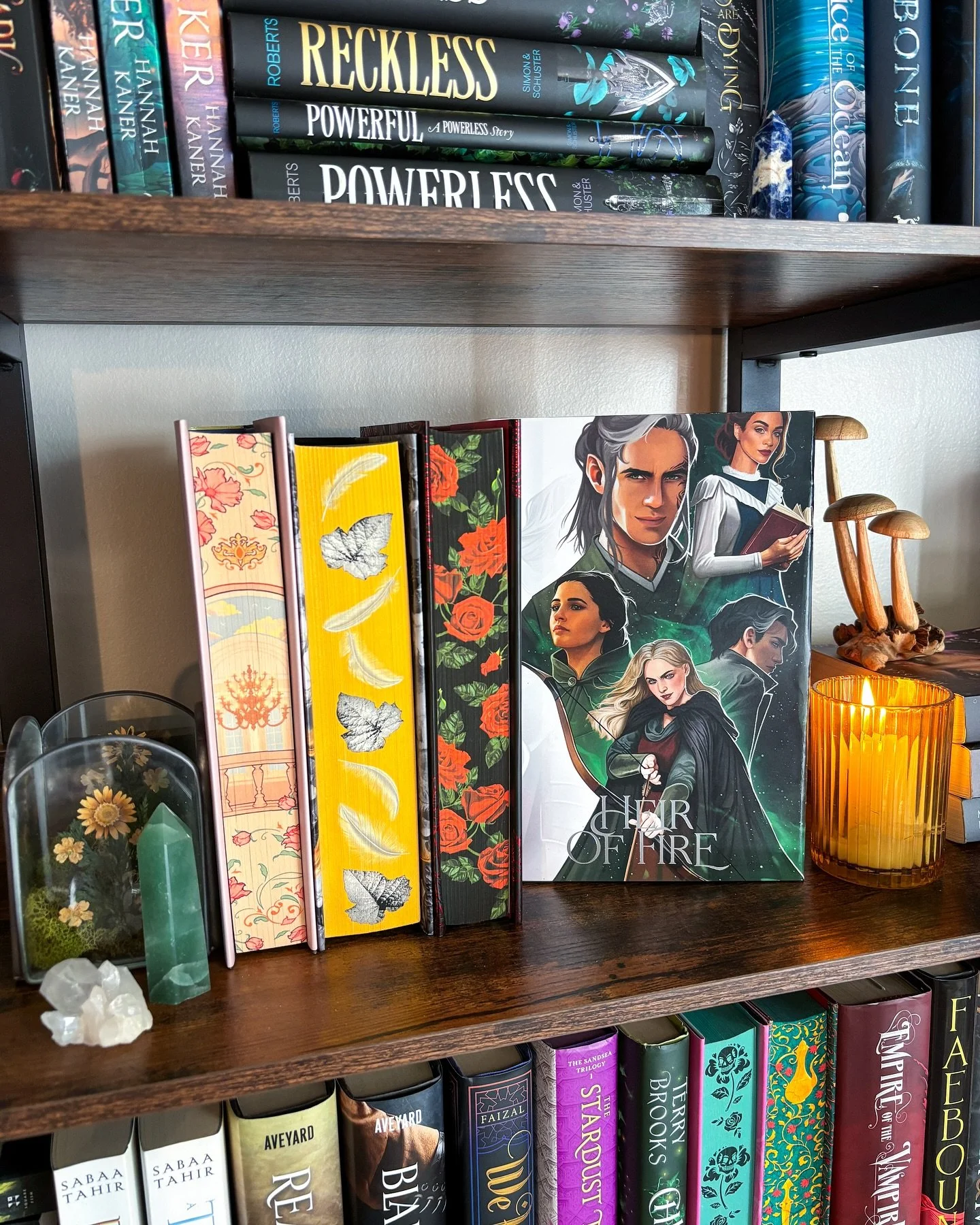 𝓓𝓮𝓬𝓮𝓶𝓫𝓮𝓻 𝓱𝓸𝓹𝓮𝓯𝓾𝓵𝓼
Which should I pick up first? 
🔥 Heir of Fire - always around December I get the itch to reread Throne of Glass. I am just so ready for Aelin to come in, I start in the middle of the series. I think I&rsquo;ve read 