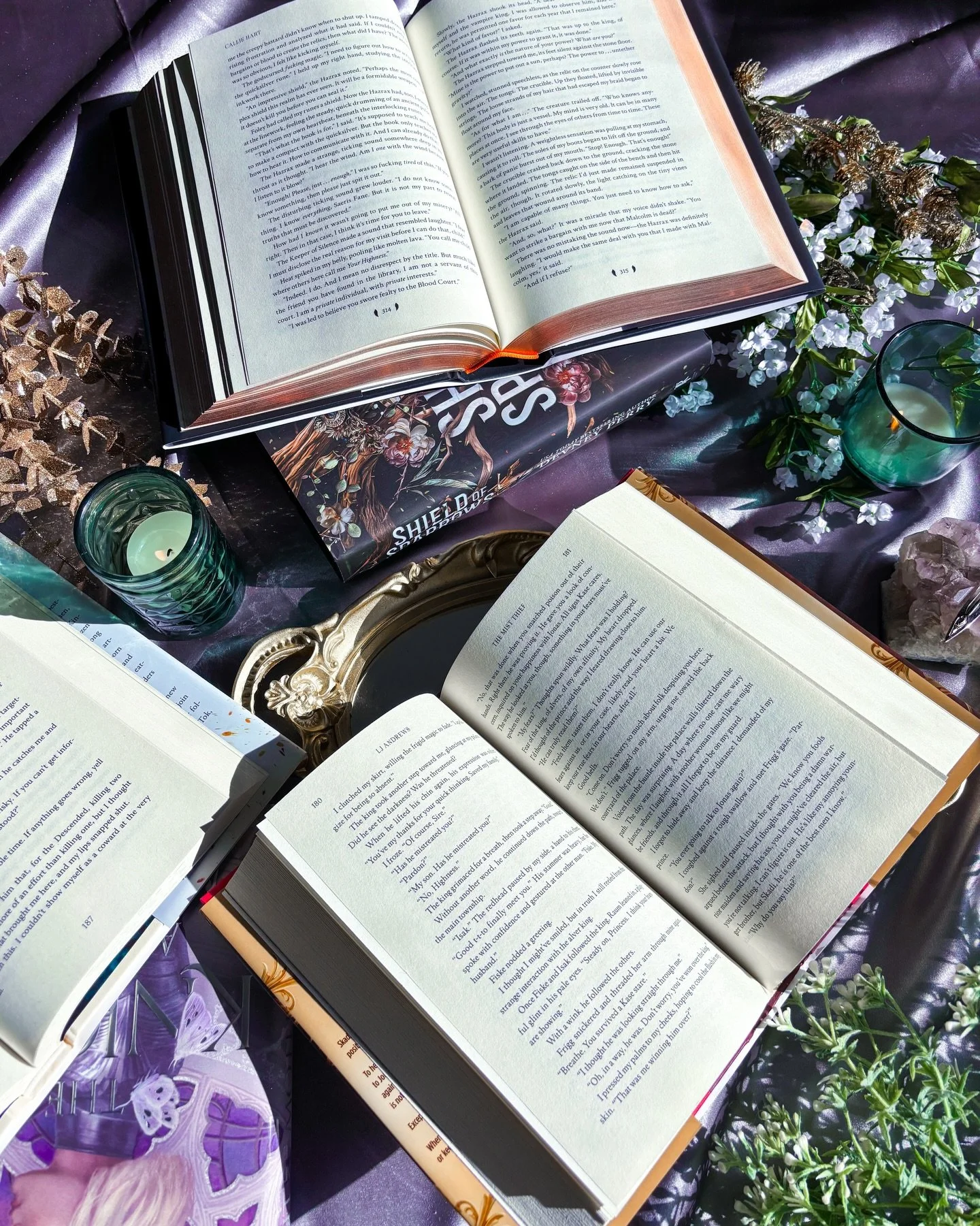 ✦ 𝐓𝐨𝐩 𝐁𝐨𝐨𝐤𝐬 𝐨𝐟 𝐄𝐚𝐜𝐡 𝐌𝐨𝐧𝐭𝐡 𝟐𝟎𝟐𝟓 ✦
It wasn&rsquo;t hard for me to pick the stand out books from the past year, I&rsquo;m still thinking about them months later. I&rsquo;m now noticing there were many debut series that I loved thi