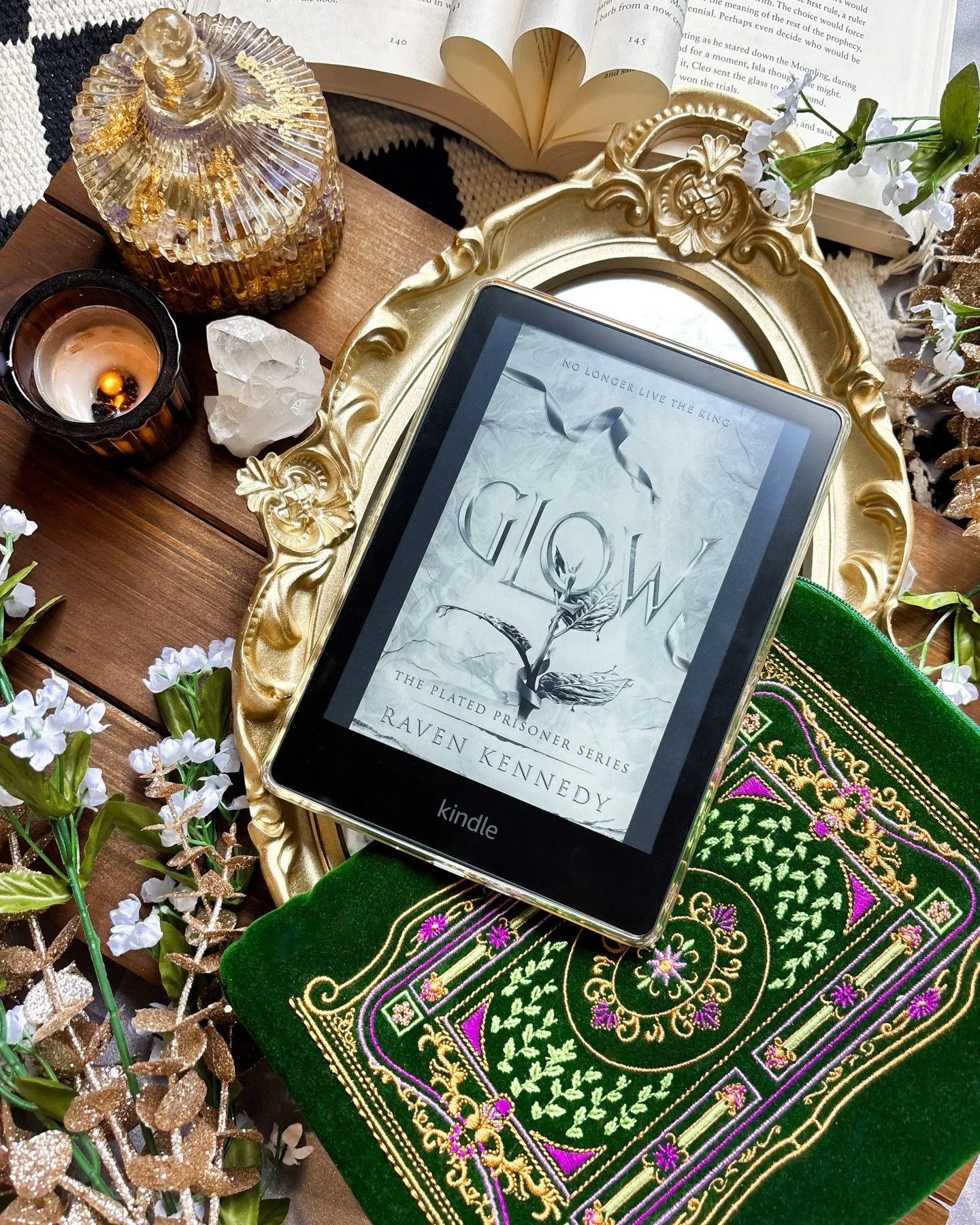 𝑪𝒖𝒓𝒓𝒆𝒏𝒕 𝑹𝒆𝒂𝒅: 𝑻𝒉𝒆 𝑷𝒍𝒂𝒕𝒆𝒅 𝑷𝒓𝒊𝒔𝒐𝒏𝒆𝒓 𝑺𝒆𝒓𝒊𝒆𝒔
I was skeptical of this series at first, just barely made it through book one. Then I started to see the character growth in book two and I knew I had to see how this story wa