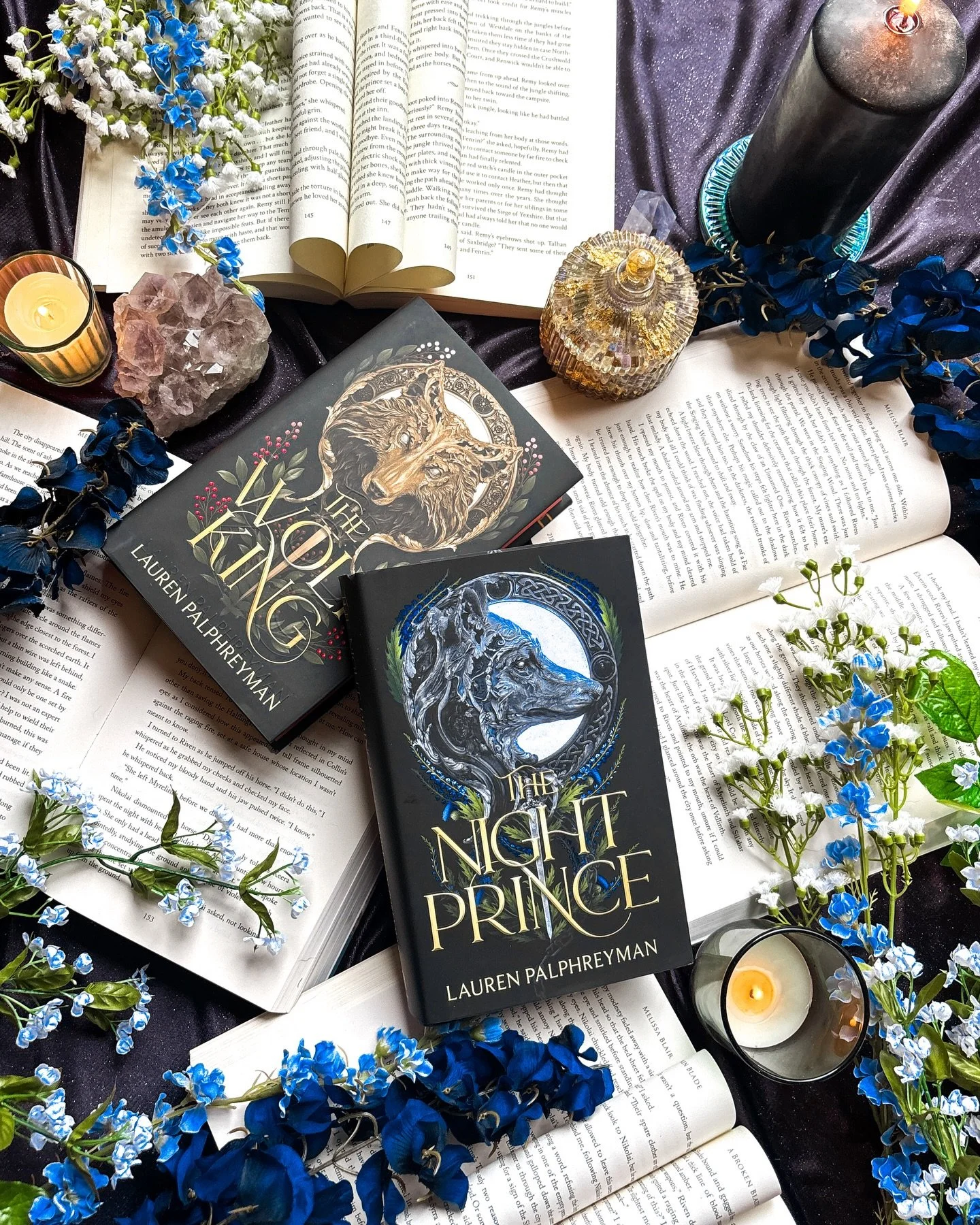 I&rsquo;m so excited to got my hands on this New Release 🌟 both men in this love triangle are to die for! 
The Wolf King 
The Night Prince 
By Lauren Palphreyman 

#werewolfromance #fantasyromance #fantasyreads #newbooks #romantasy