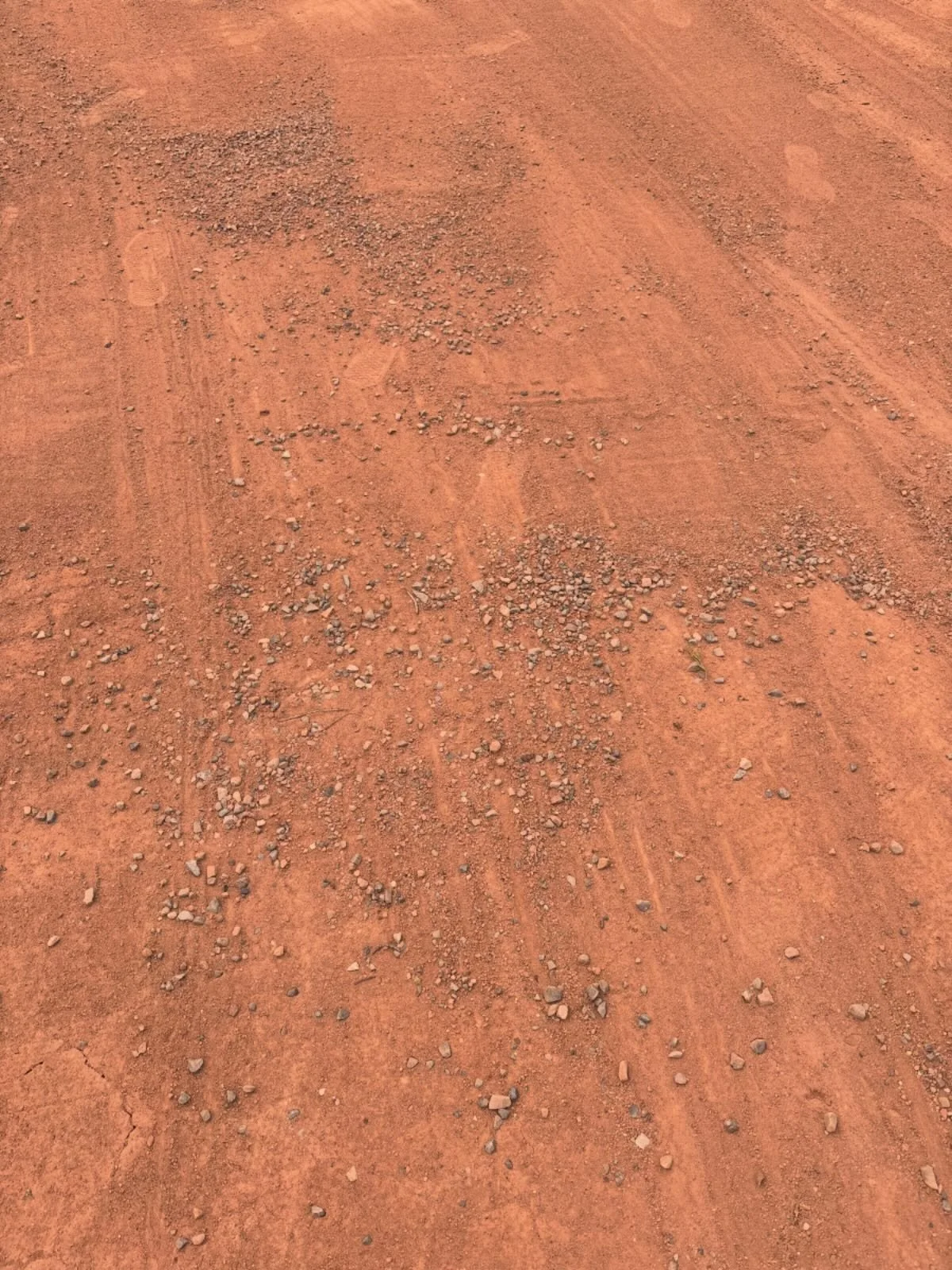 Progress in baby steps this season between rain drops. Collected buckets of rocks off the courts today. What do you like to do for fun? 🙃

This club is truly a labor of love. ❤️and we love all those who volunteer their lair to help!