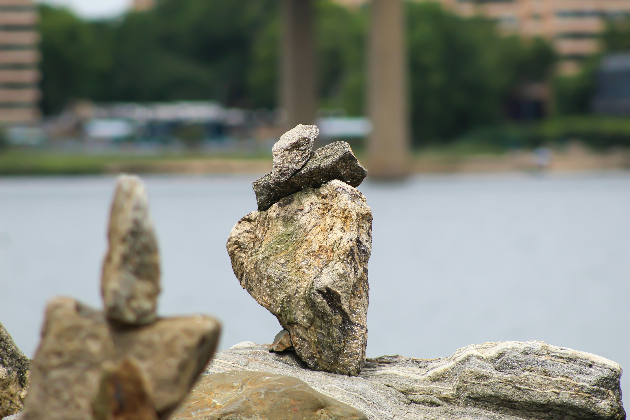 Close-up of stacked rocks near a body of water with blurred trees and buildings in the background.