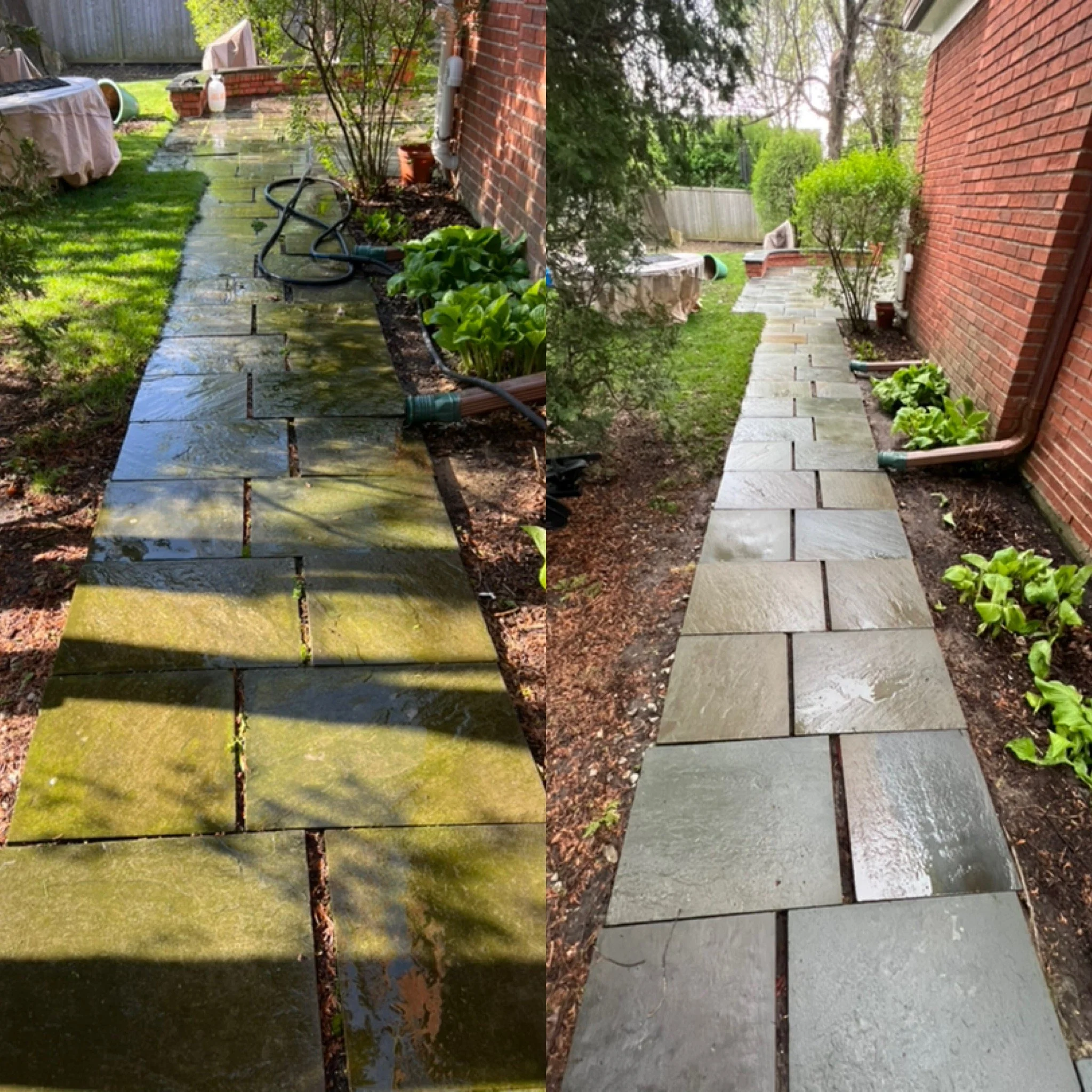 Split image showing a backyard pathway; the left side is covered in moss and water with wet stones, and the right side has clean, dry stones along a brick house wall with potted plants and greenery.