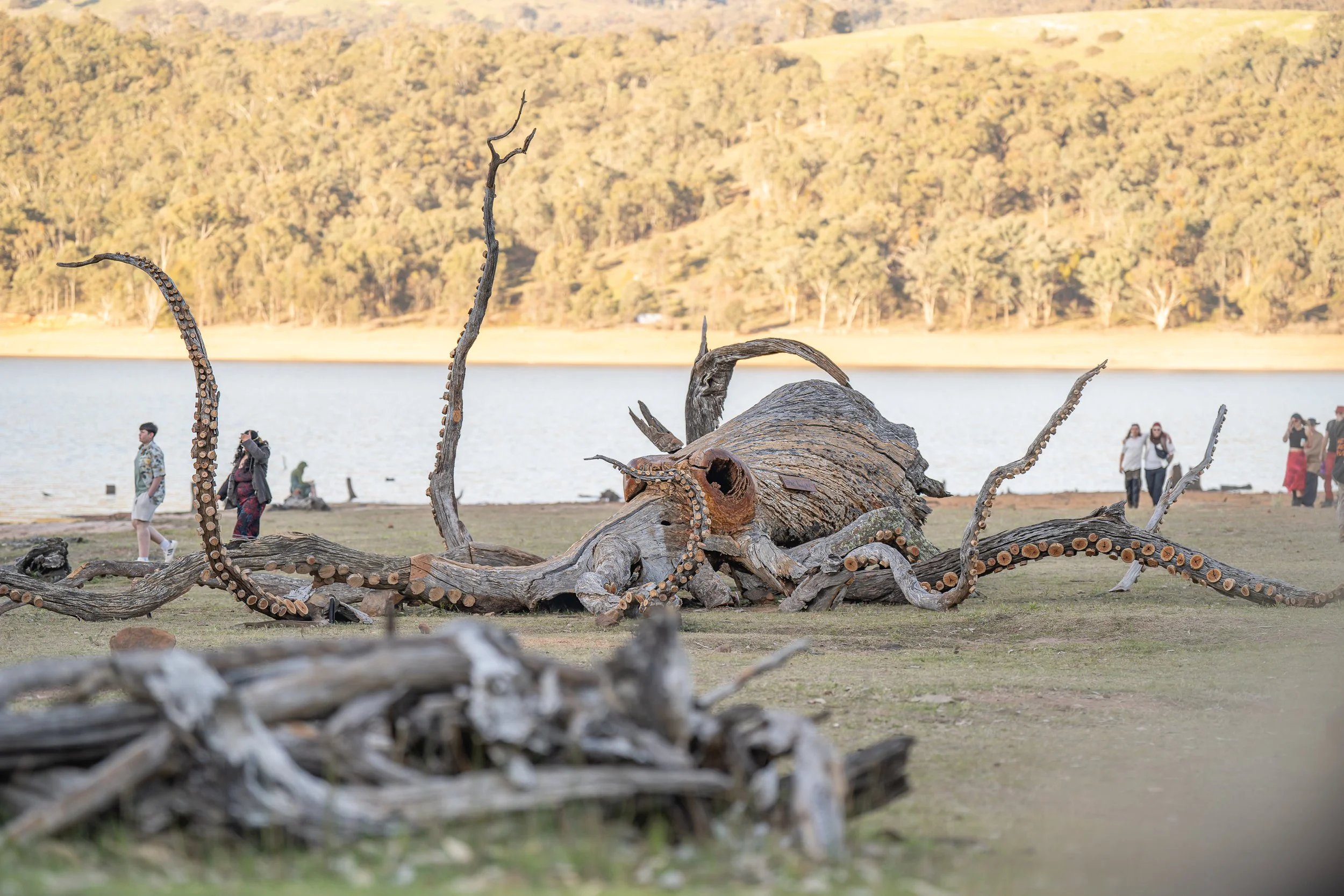 DD25 STORYTELLA EXTRAS-497.jpg