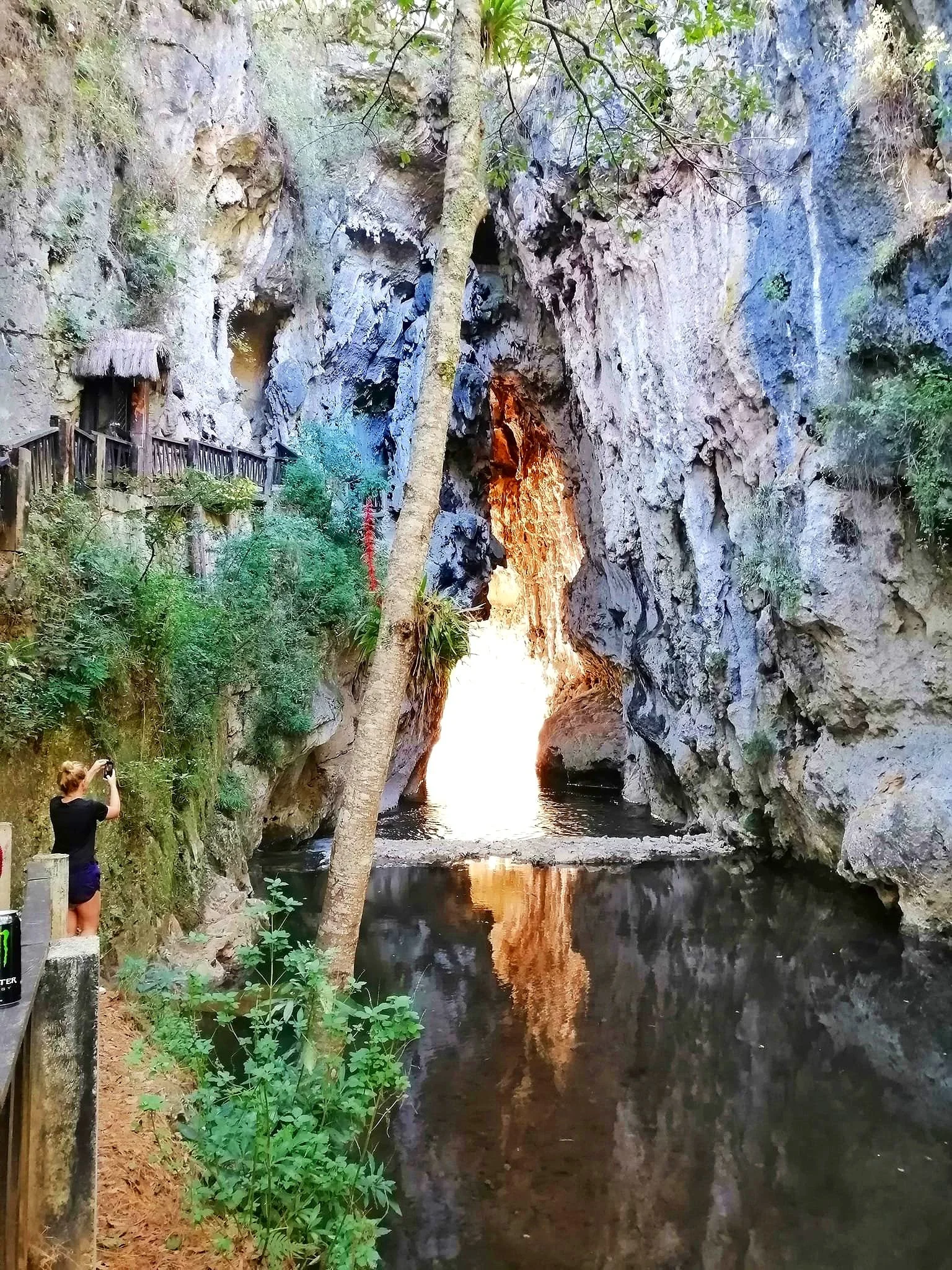 Person taking photos inside a rocky cave with a bright opening, surrounded by lush greenery and water reflection.