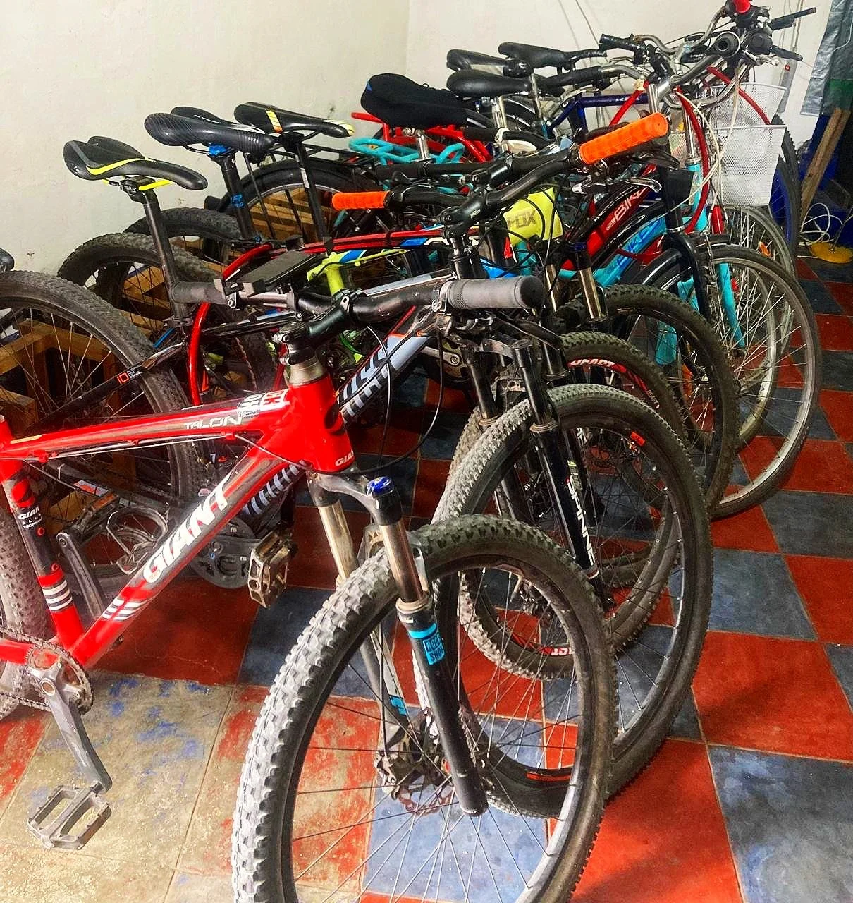 A row of mountain bikes with varying colors and designs, parked indoors on a red and blue checkered floor.