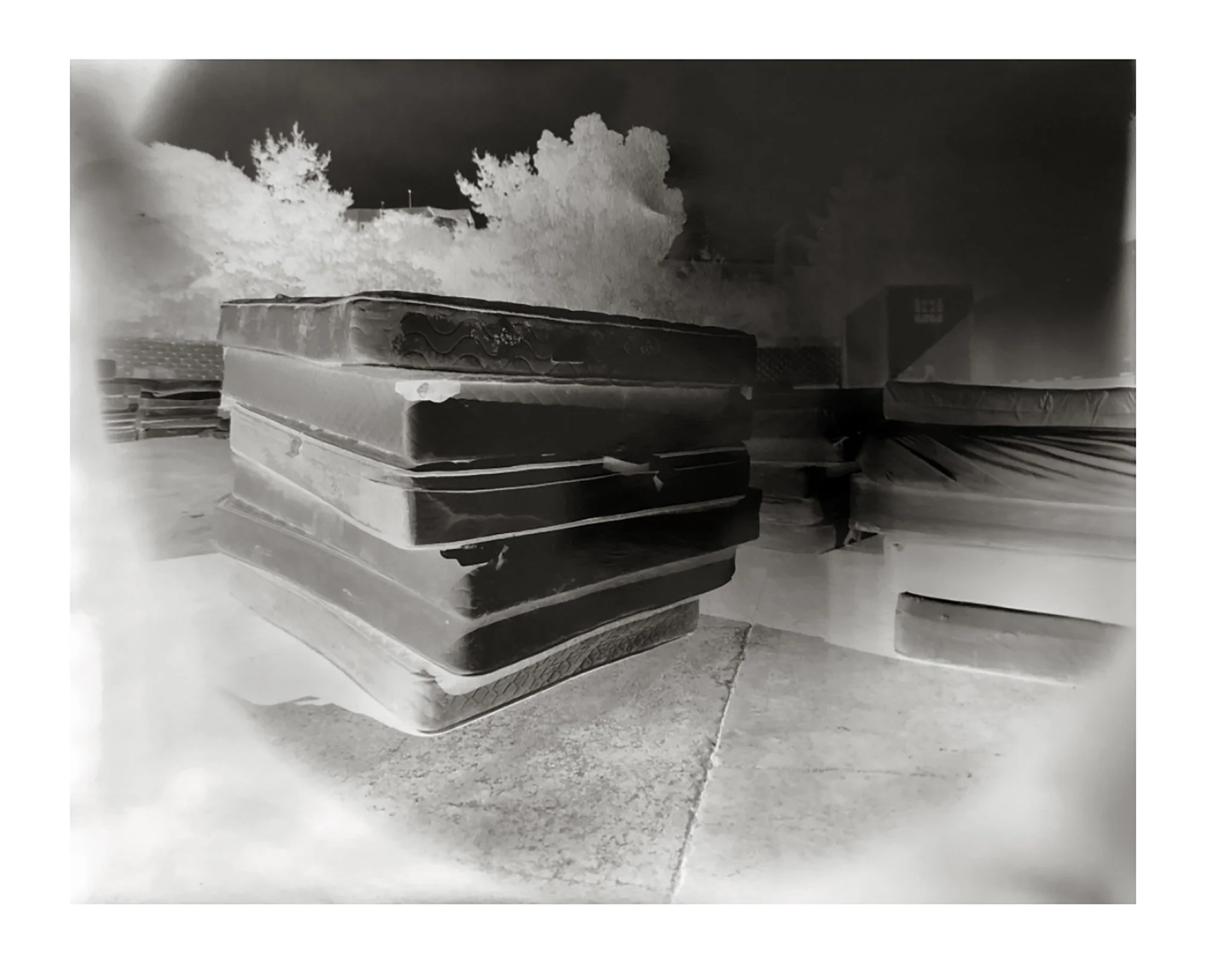 04Orvik_Recology_PaperNegative_Negative_2018.jpg