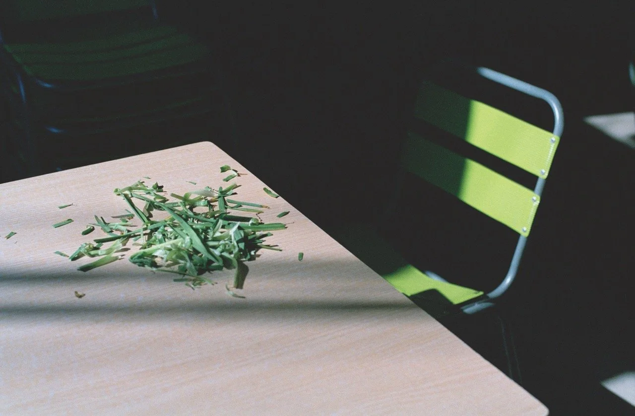 SMHerman_image_10 Large.jpeg