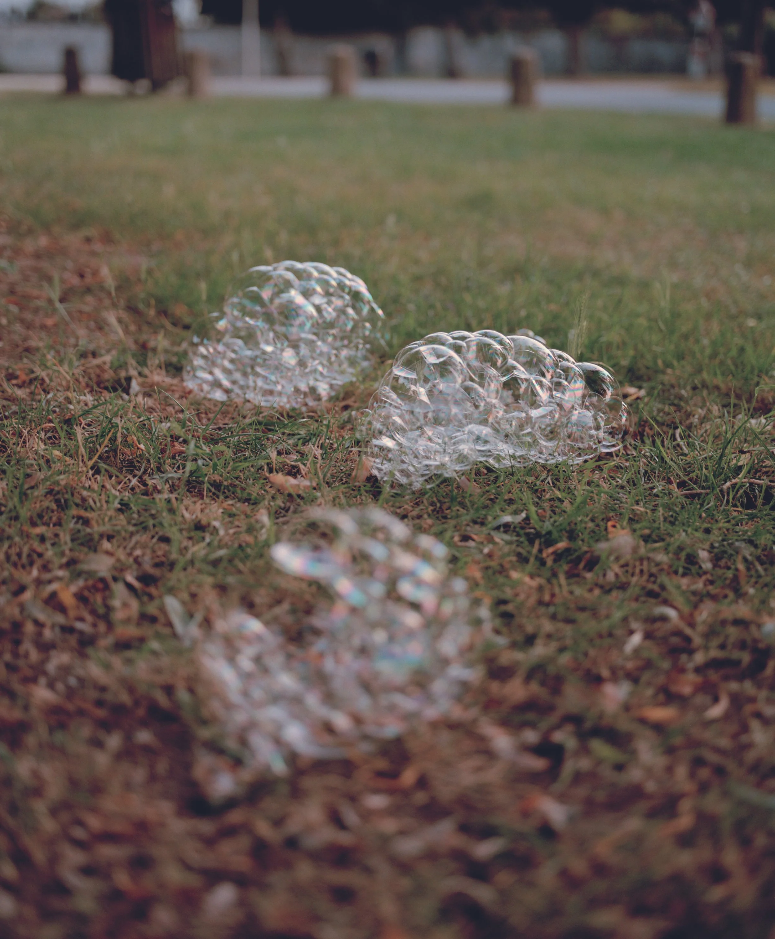 JADE_15_The bubbles, 2021.jpg