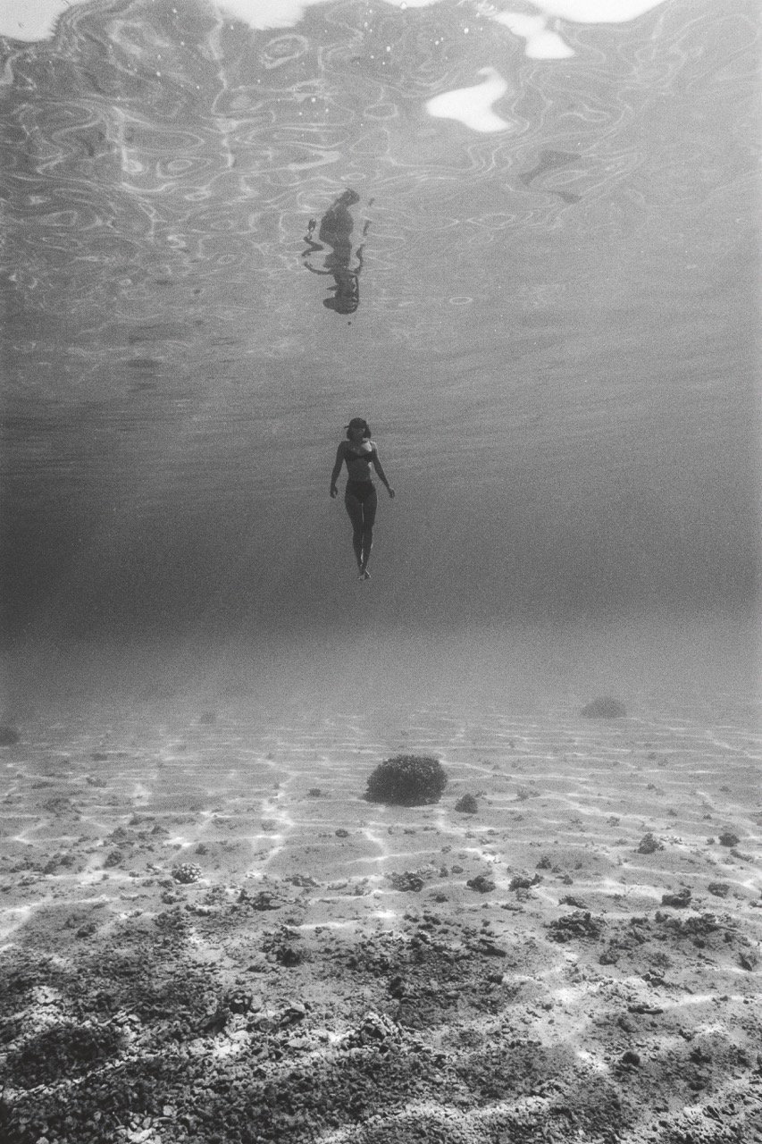 Katharine_04_pamplemousse_finals-8 Large.jpeg