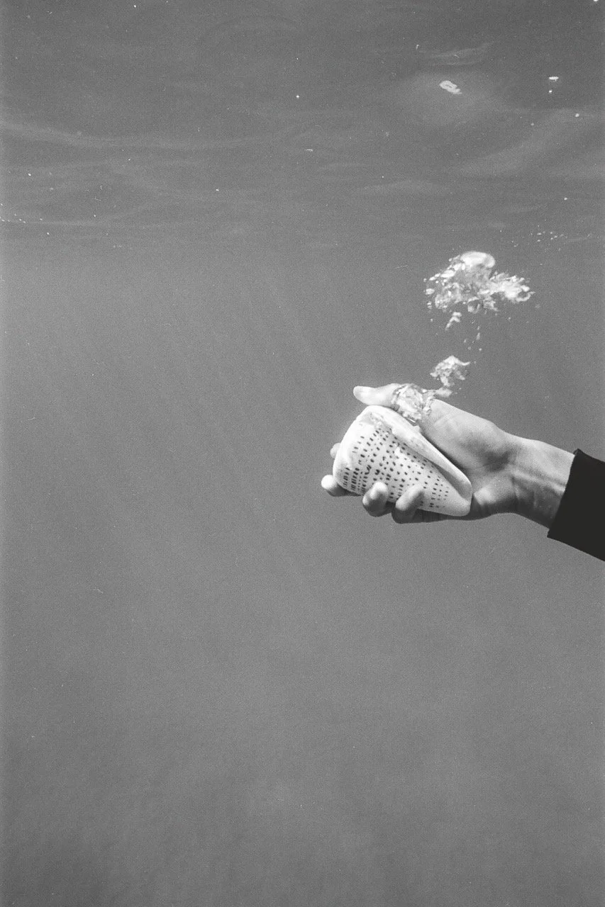 Katharine_05_pamplemousse_finals-11 Large.jpeg