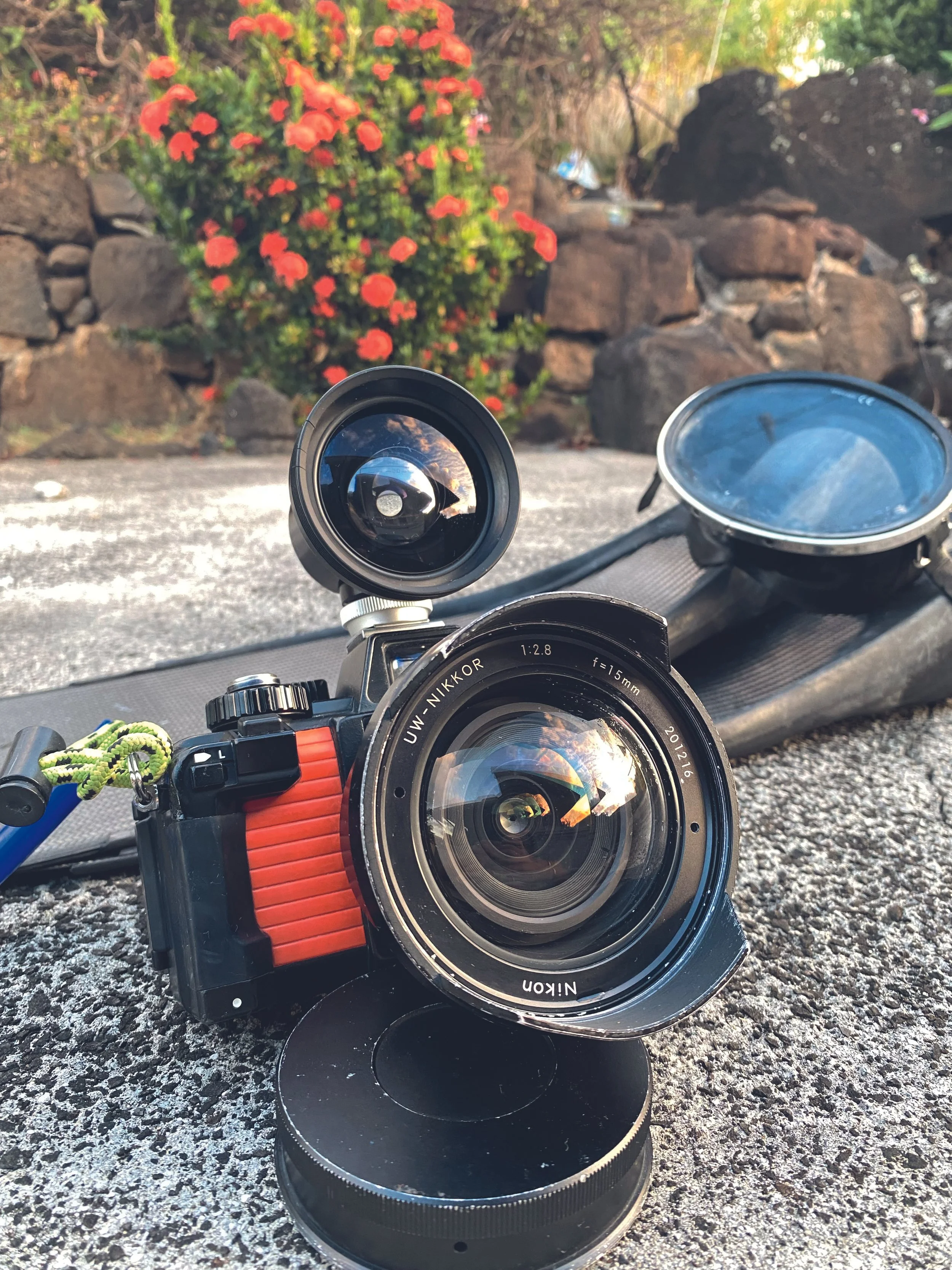 IMG_2247.jpg