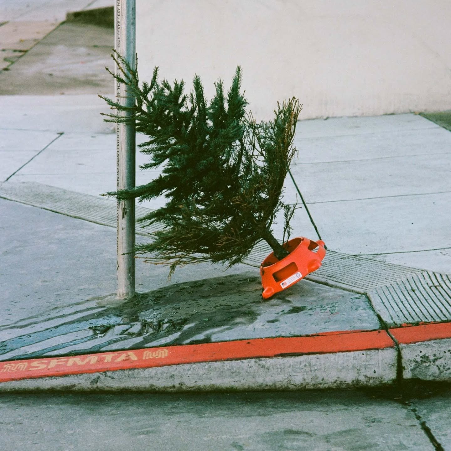 Happy Holidays, film lovers.

Sending you and yours best wishes for some solid downtime and really good light 🕯️📸 . 

Stay tuned for our year-end wrap up 👀

___________________________

1 by Editor-in-Chief @nora_lalle
2-4 by Senior Editor @jssrhd