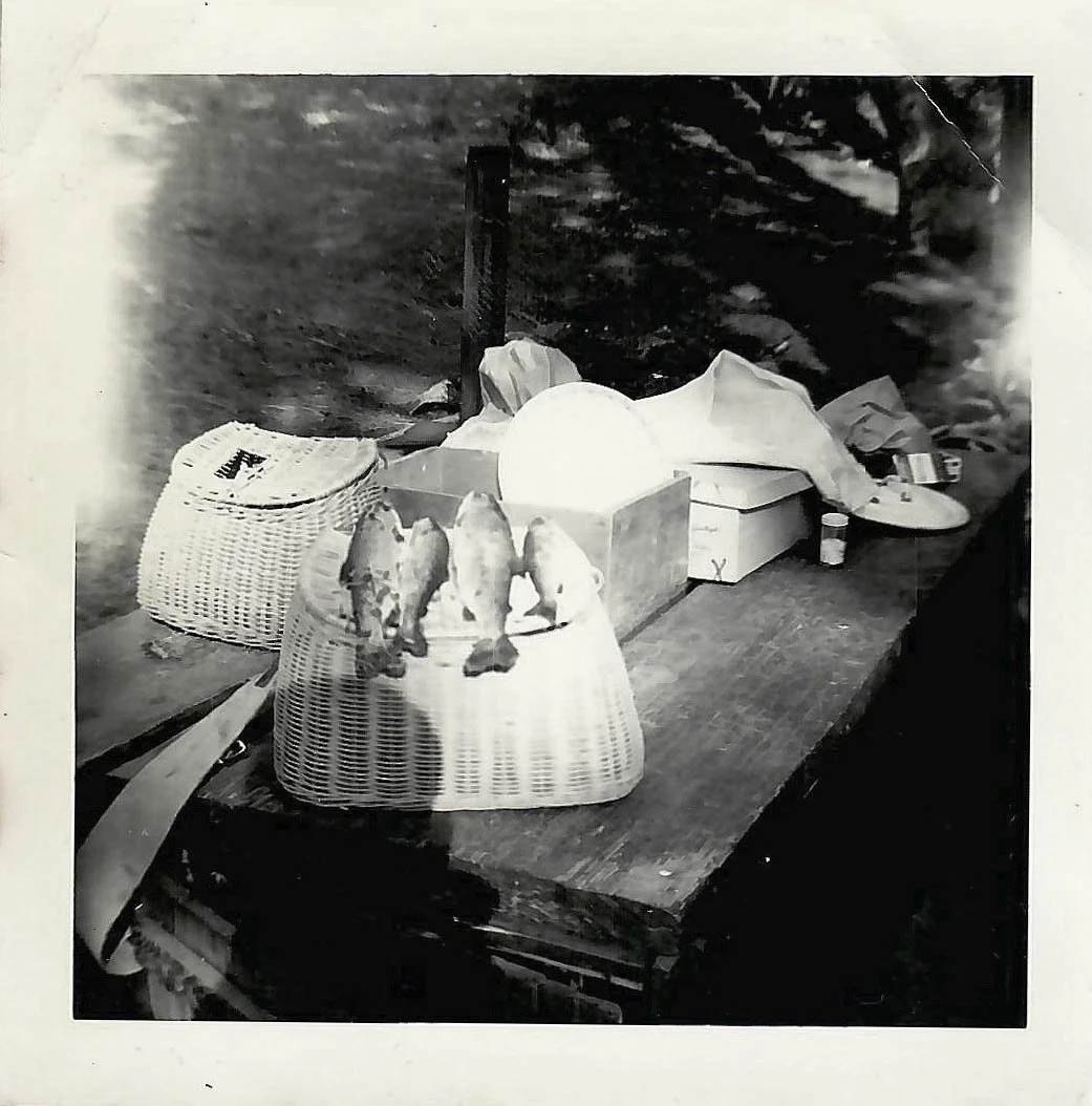 fish still life.JPG