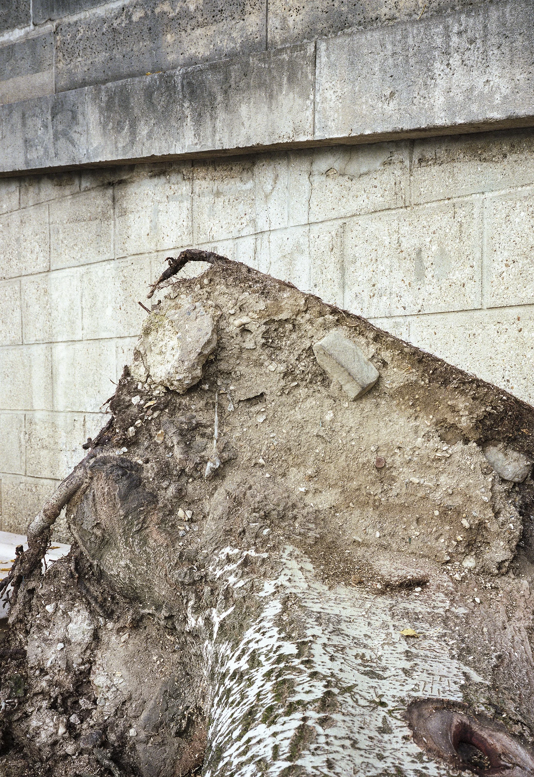 david_johnson - David Johnson.jpg