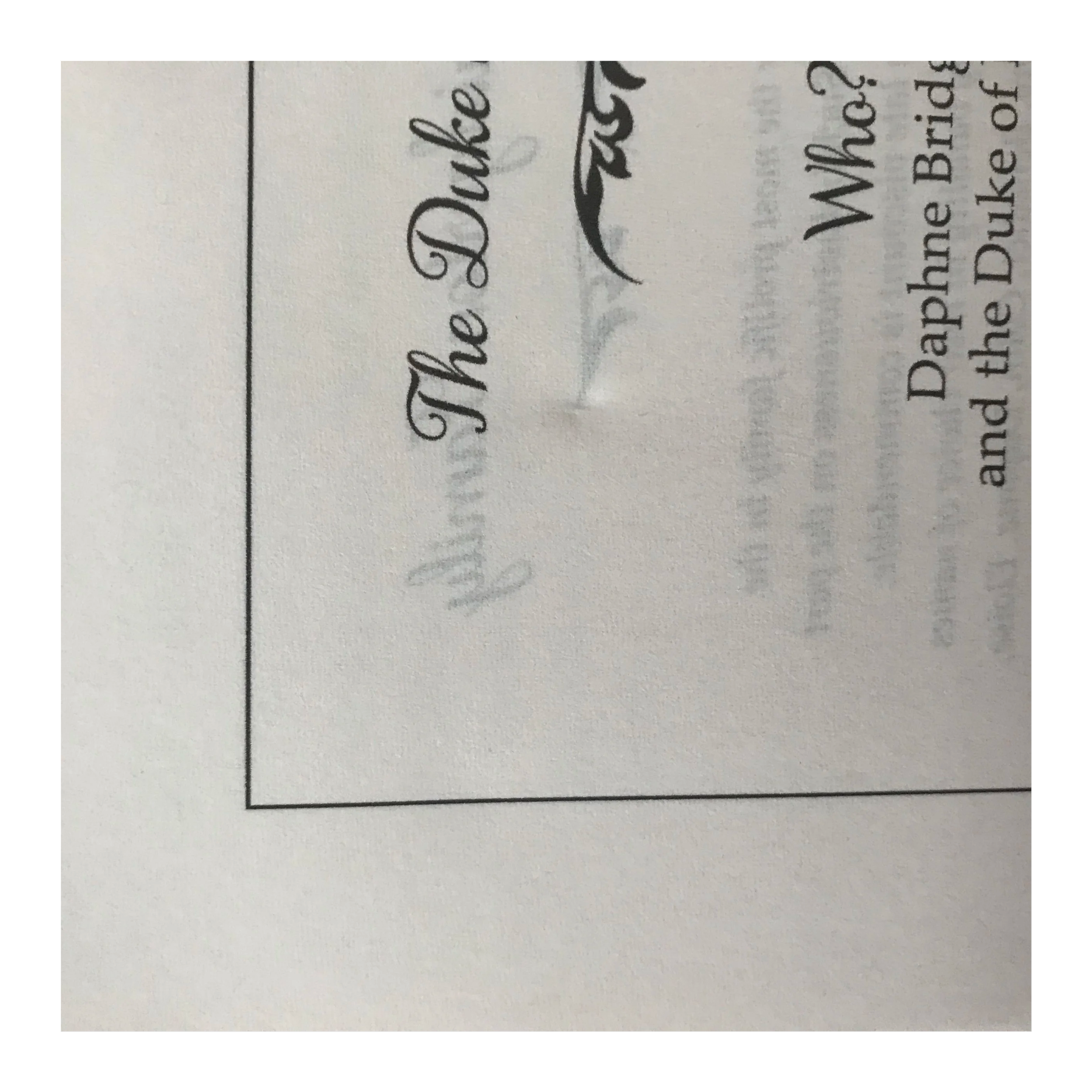 IMG_7790.png