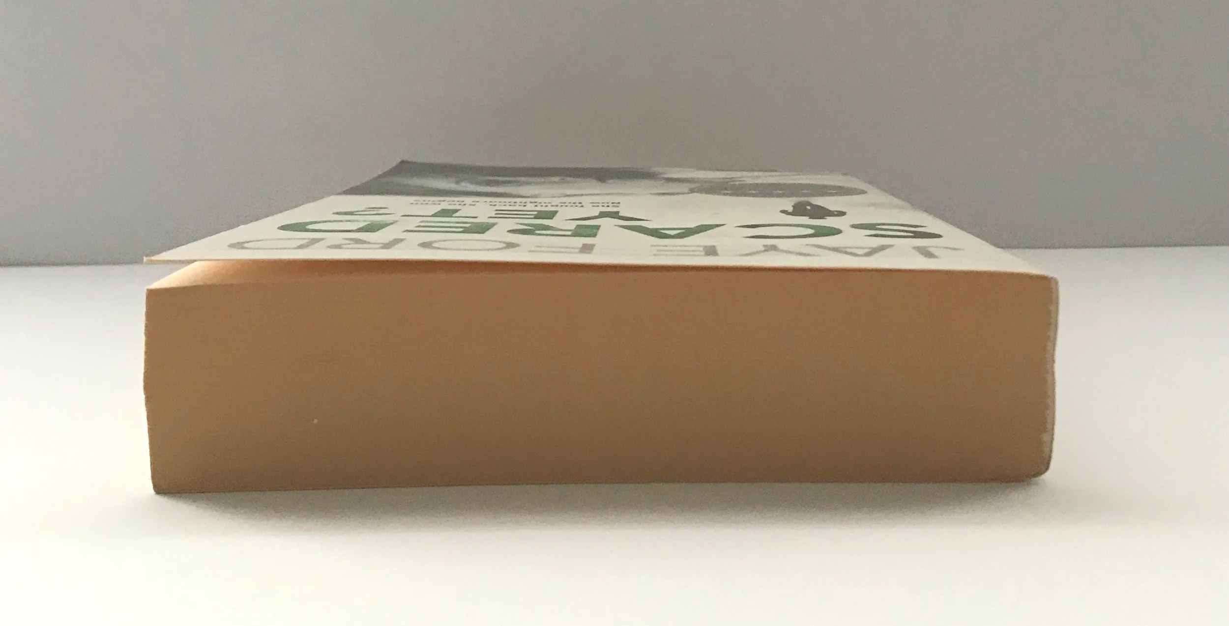 IMG_7830.png
