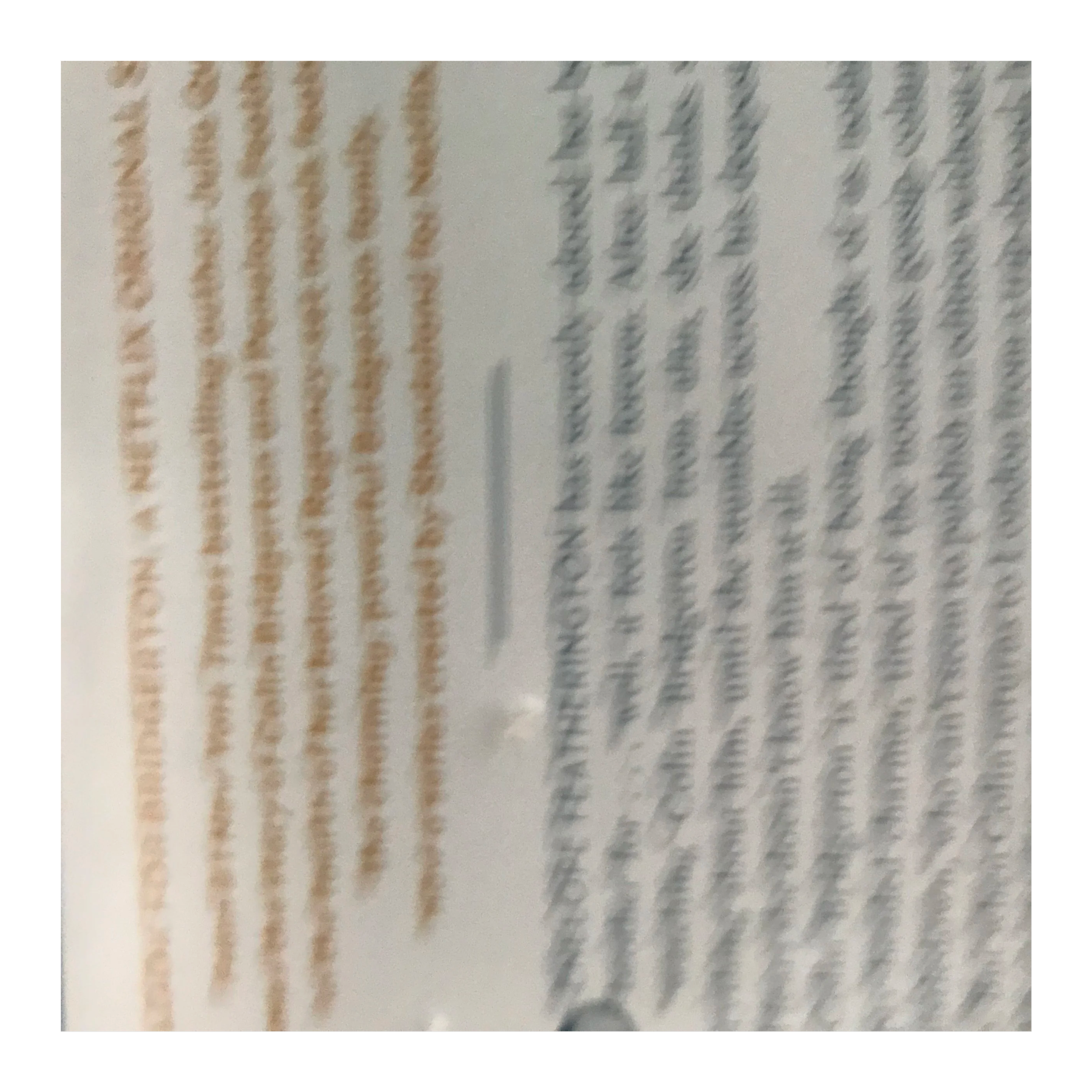 IMG_7782.png
