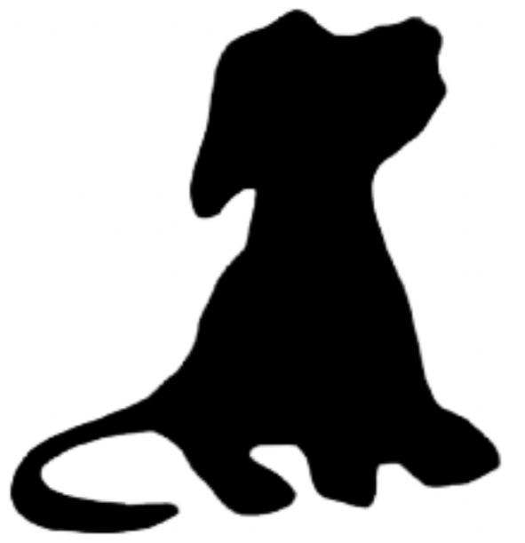 Black Dog Productions x Ted O