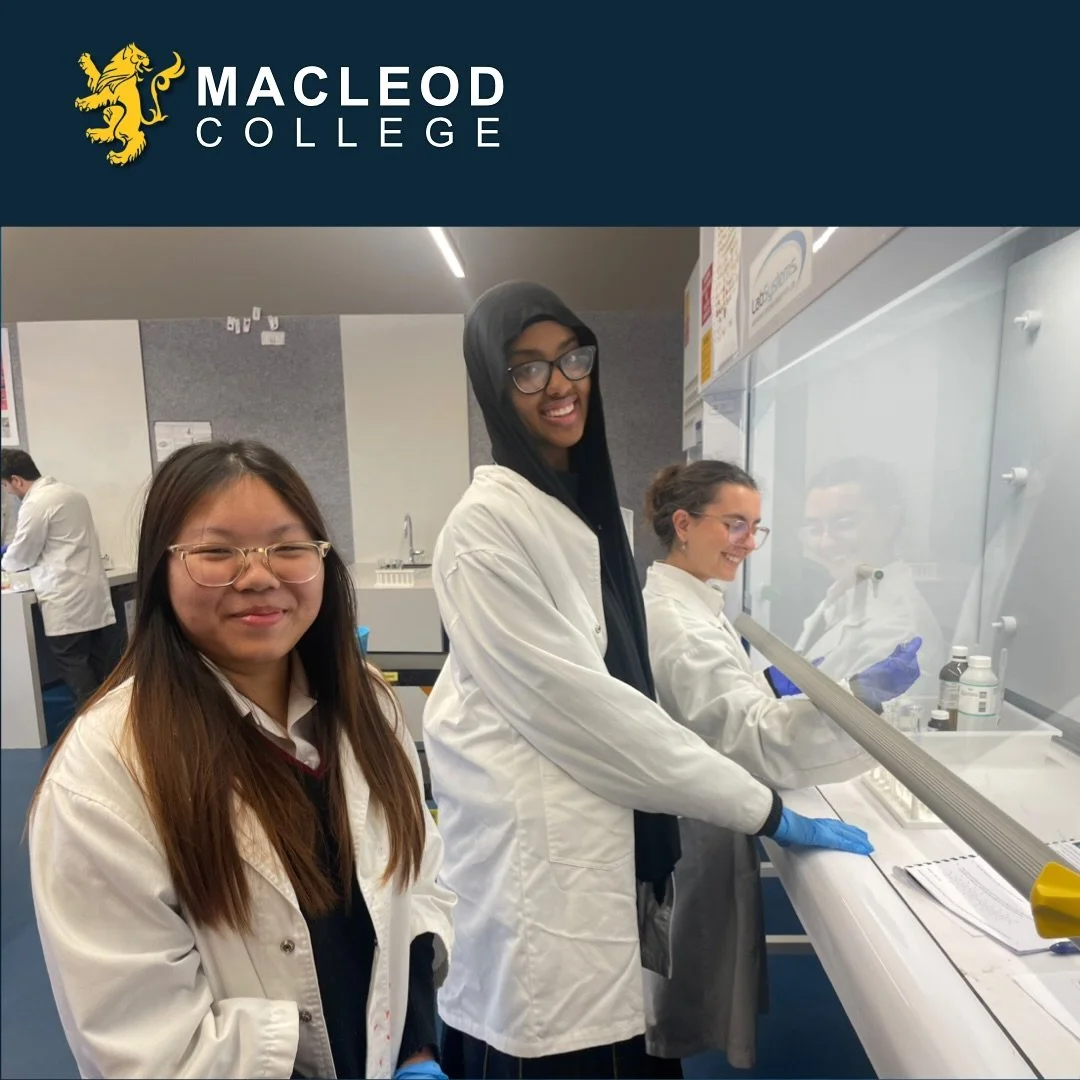 Achieve ⭐️ Our amazing Year 12 Chemistry students rolled up their sleeves for a hands-on biochemistry practical, investigating the unique properties of lipids- from solubility tests to saponification reactions (yes, they made soap from fats!)
Swipe