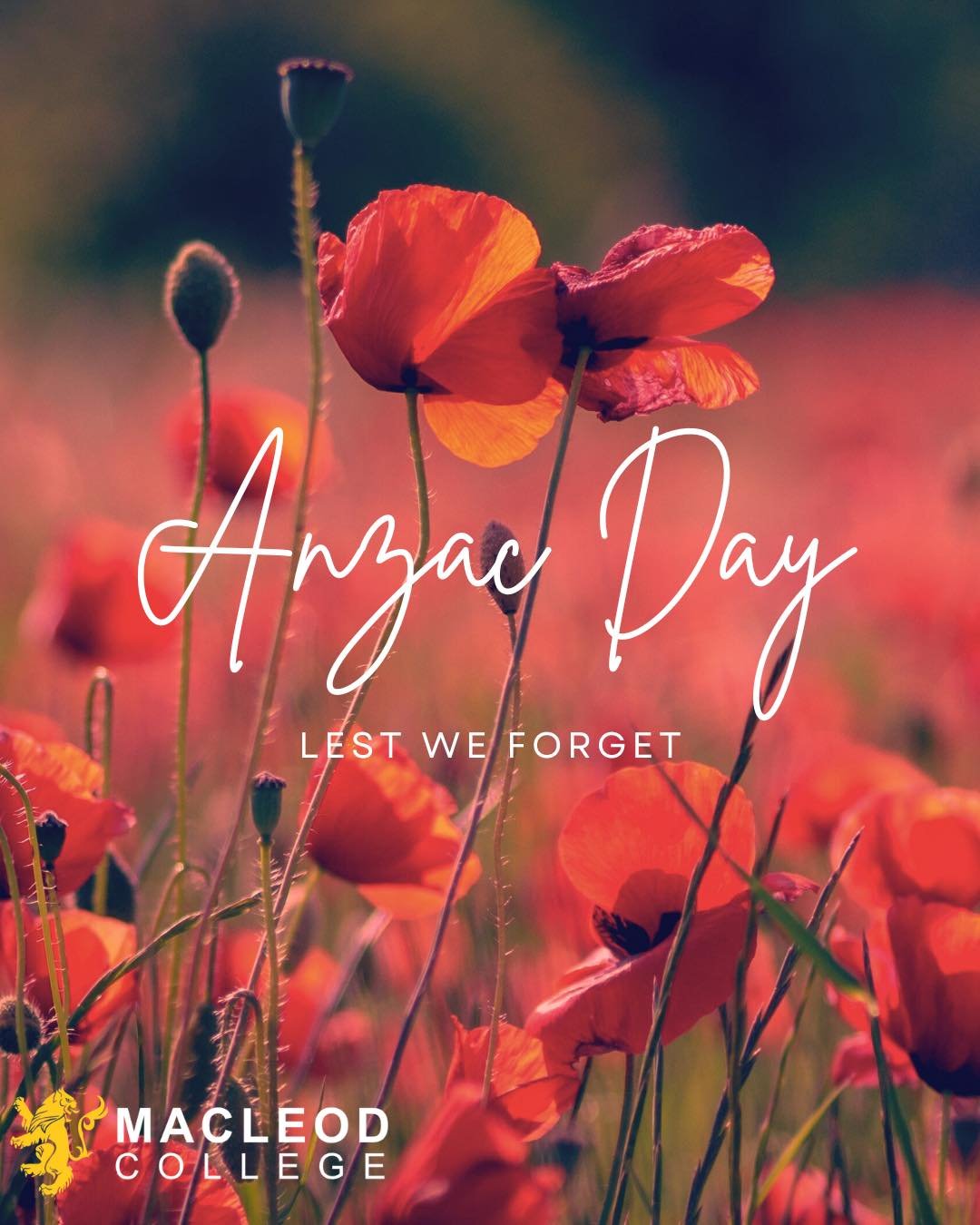 ✨ RESPECT ✨

Yesterday, our College community came together to honour ANZAC Day through a special service of remembrance.

As we gathered to reflect on the courage, sacrifice, and mateship of those who have served our nation, we were reminded of the 